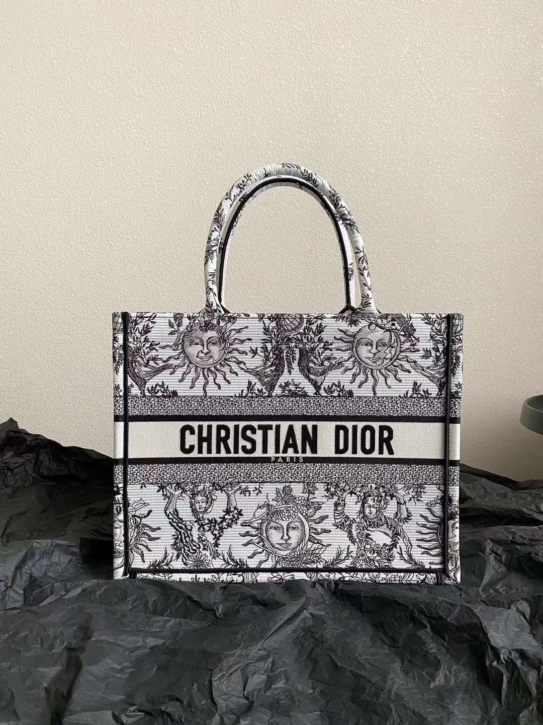 Dior book tote bag view 3