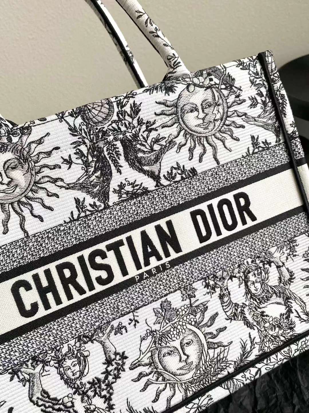 Dior book tote bag view 7