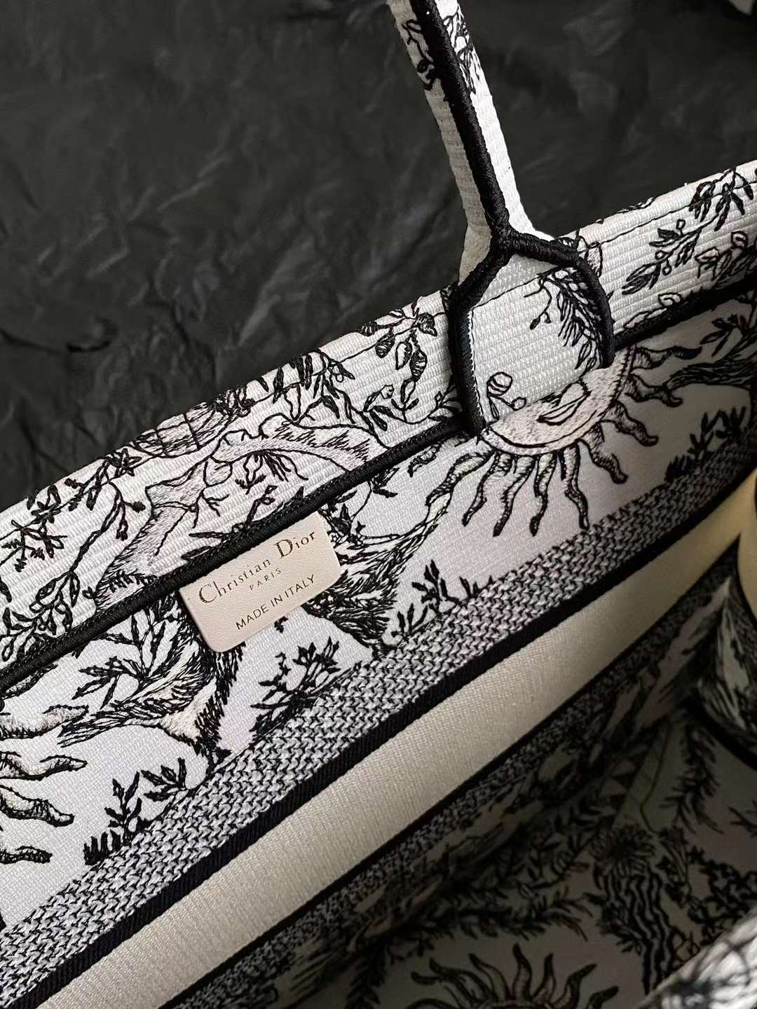 Dior book tote bag view 8