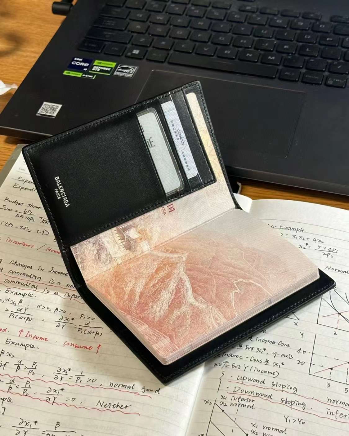 Balenciaga Passport holder view 7