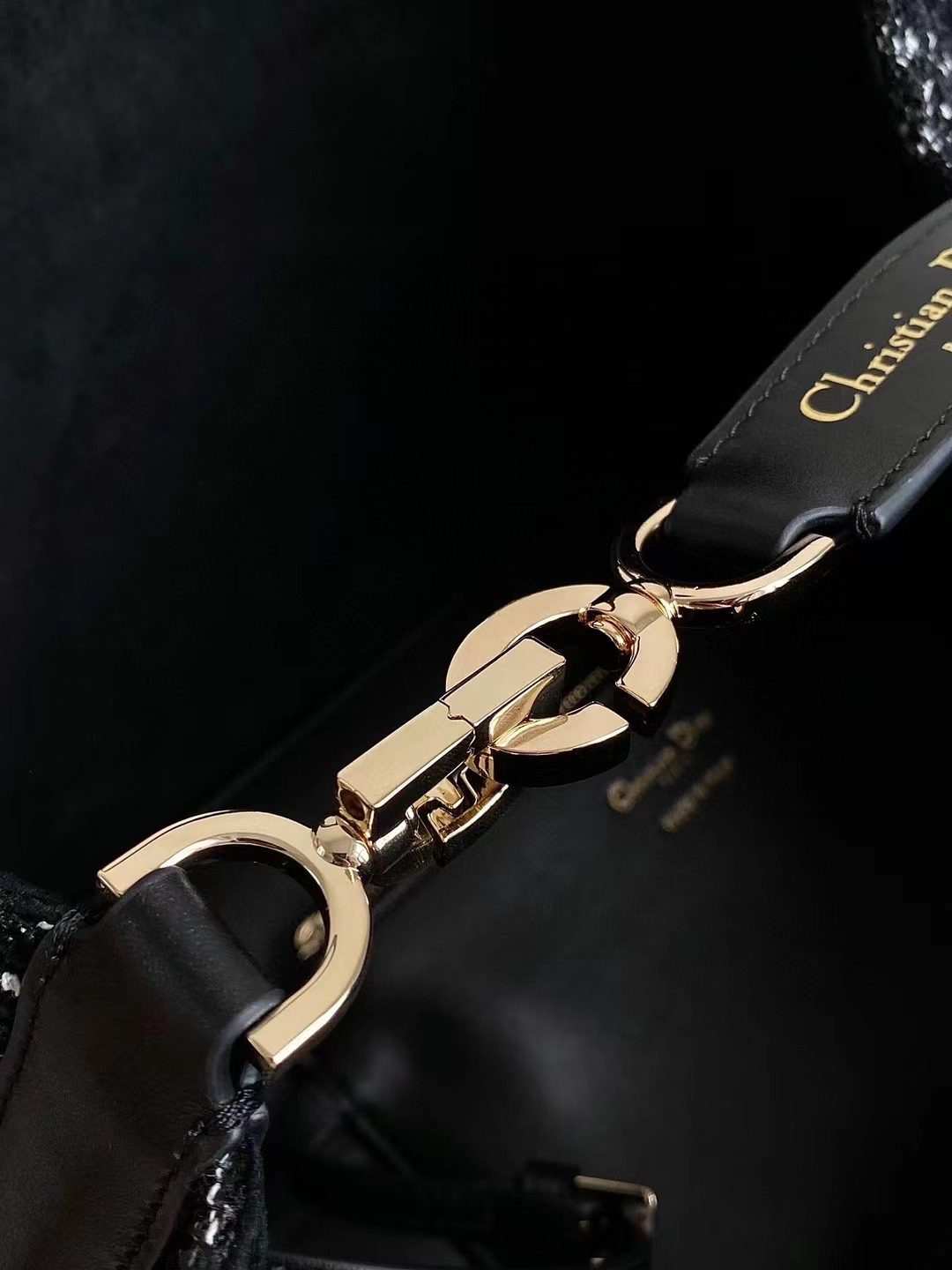 Dior Toujours medium bag view 6