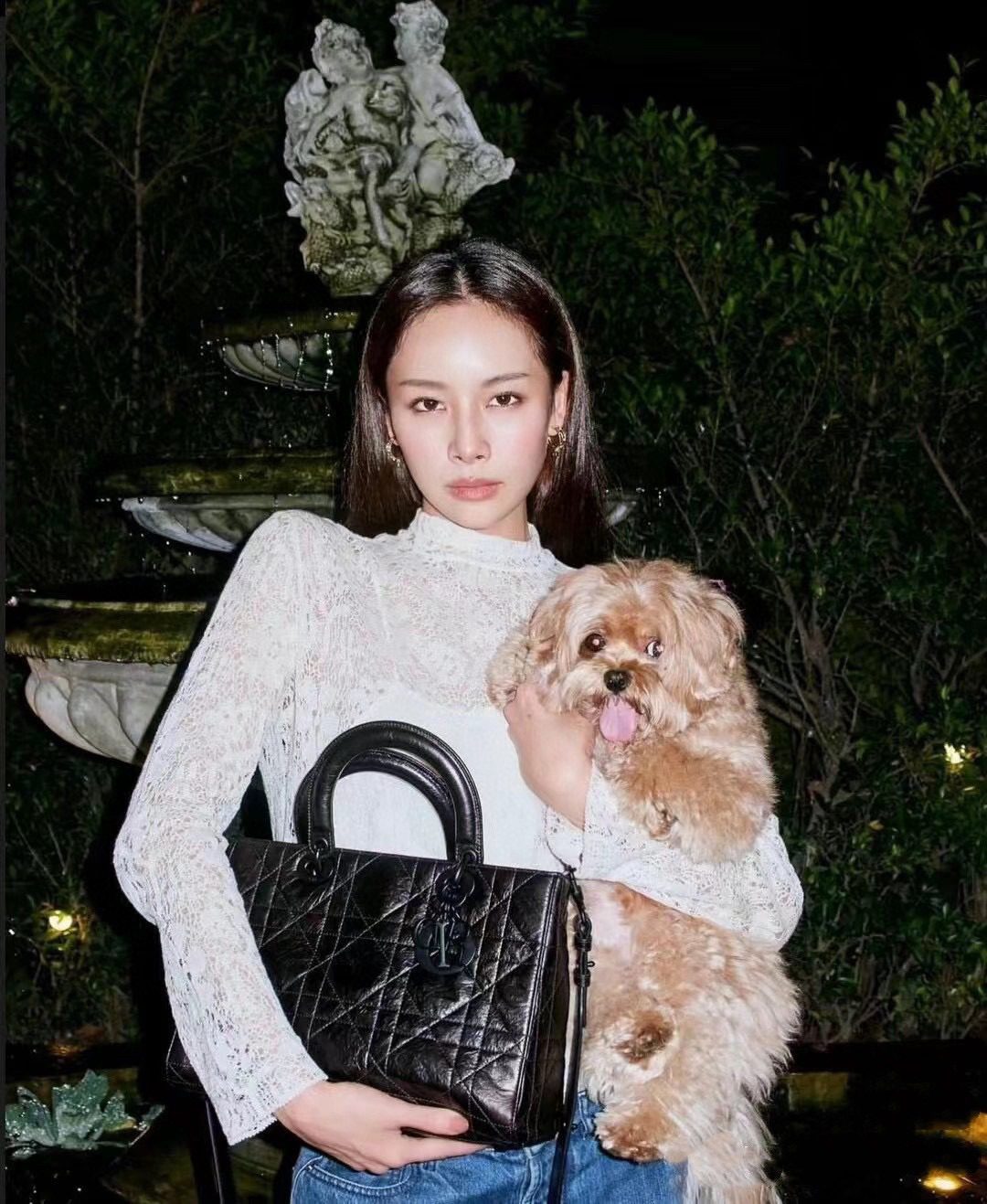 Dior LADY D-SIRE bag medium view 1