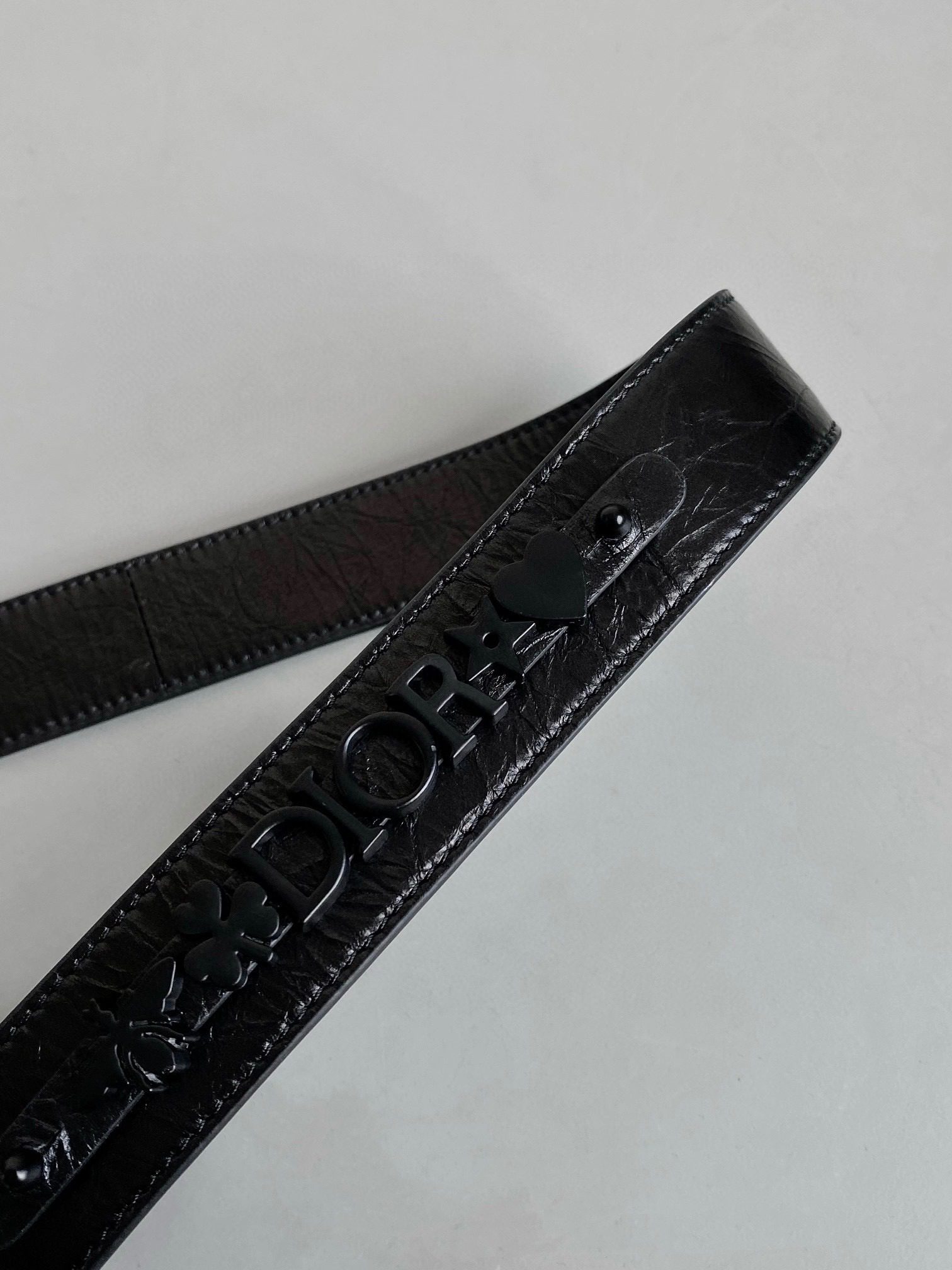 Dior LADY D-SIRE bag medium view 9