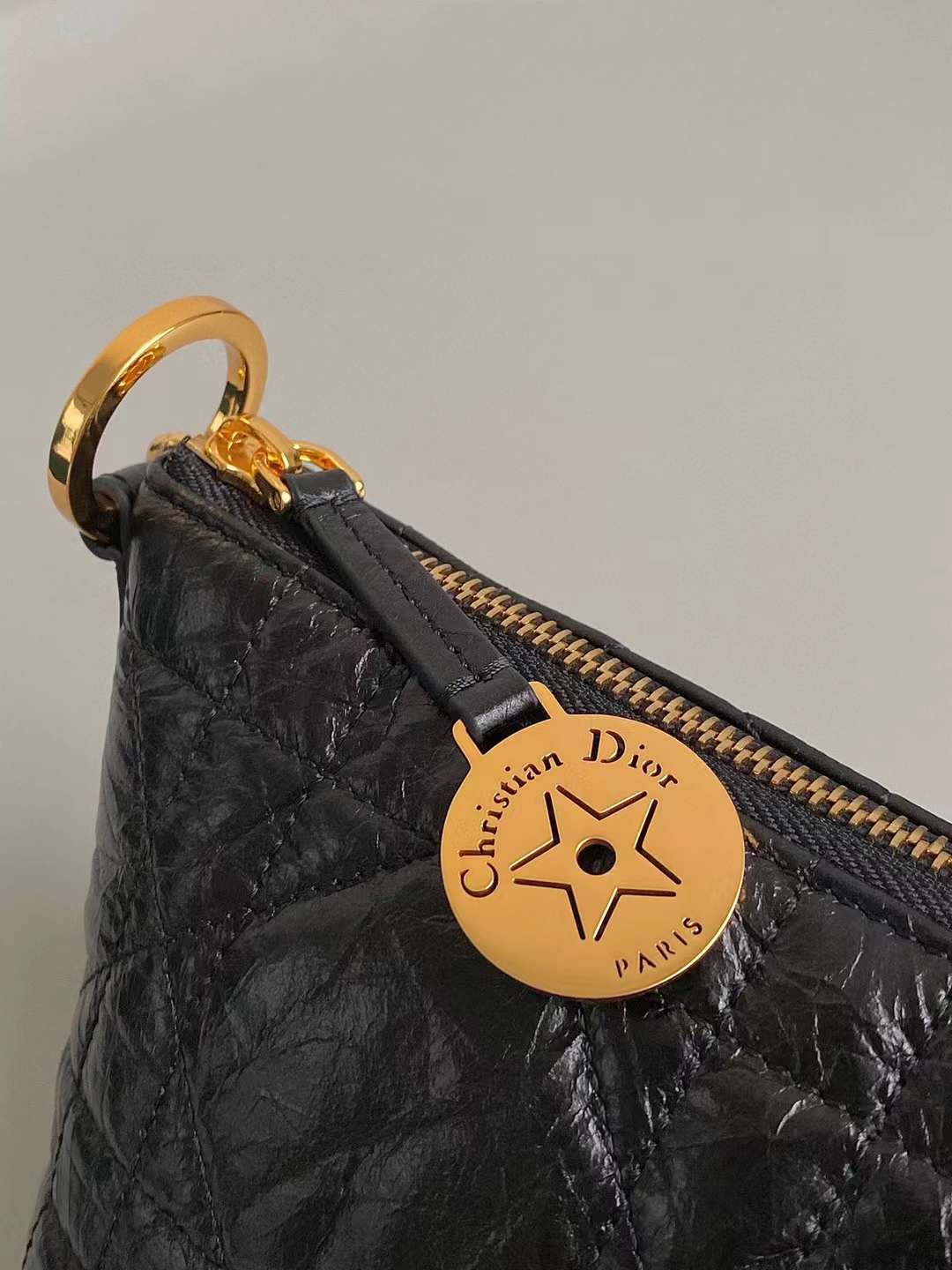 Dior oil wax leather star bag view 5
