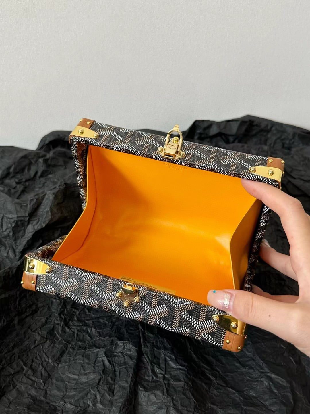 Goyard Minaudiere Trunk Bag view 10