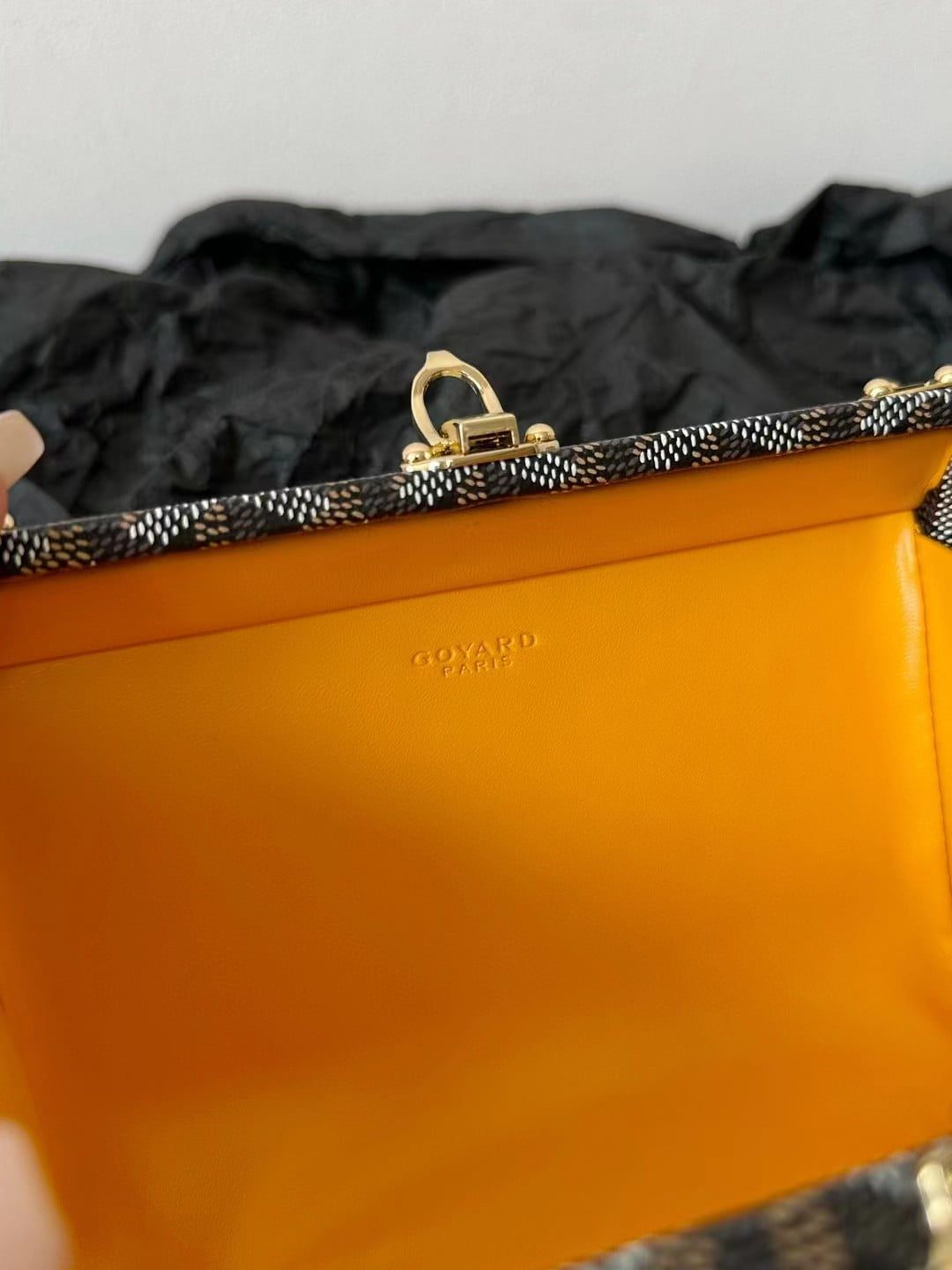 Goyard Minaudiere Trunk Bag view 9
