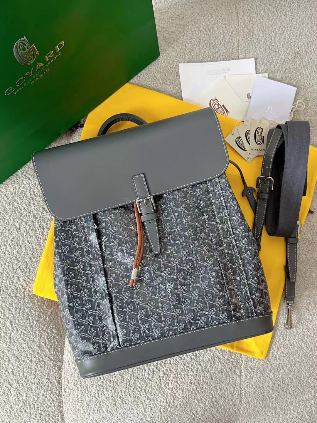 Goyard Alpin MM Backpack view 1