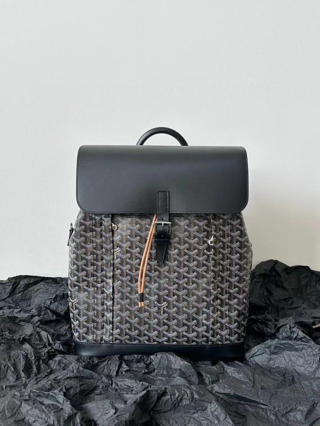 Goyard Alpin MM Backpack view 2
