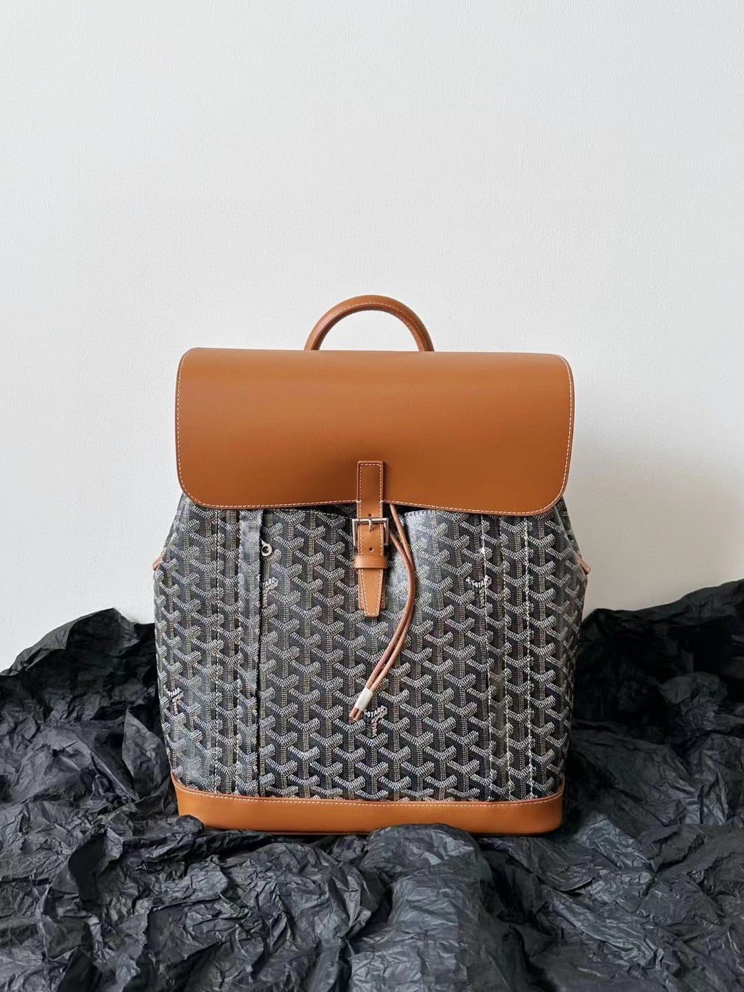 Goyard Alpin MM Backpack view 3