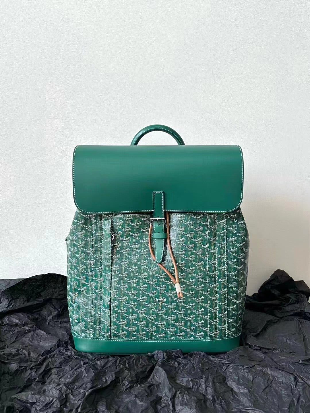 Goyard Alpin MM Backpack view 4