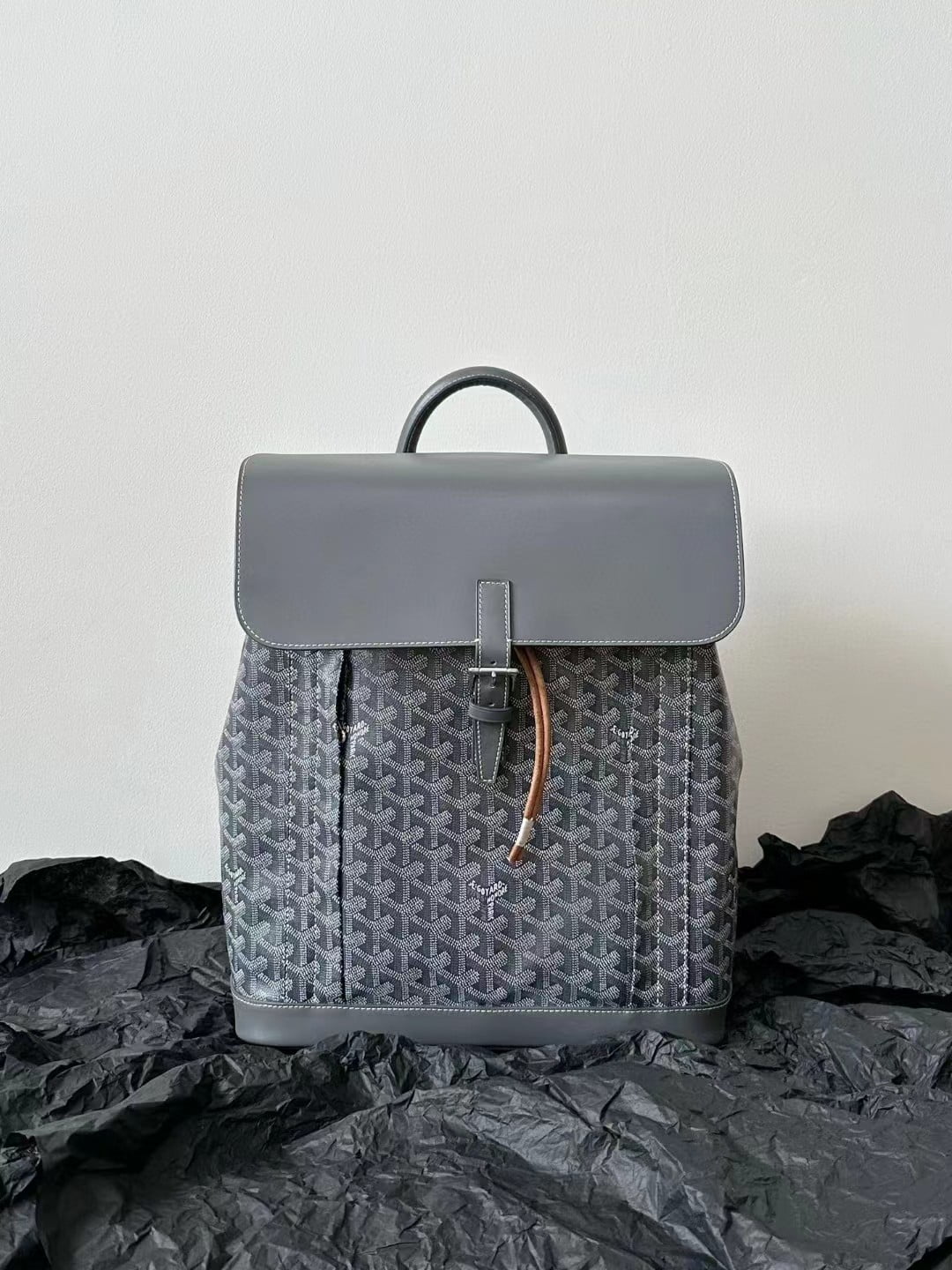 Goyard Alpin MM Backpack view 5