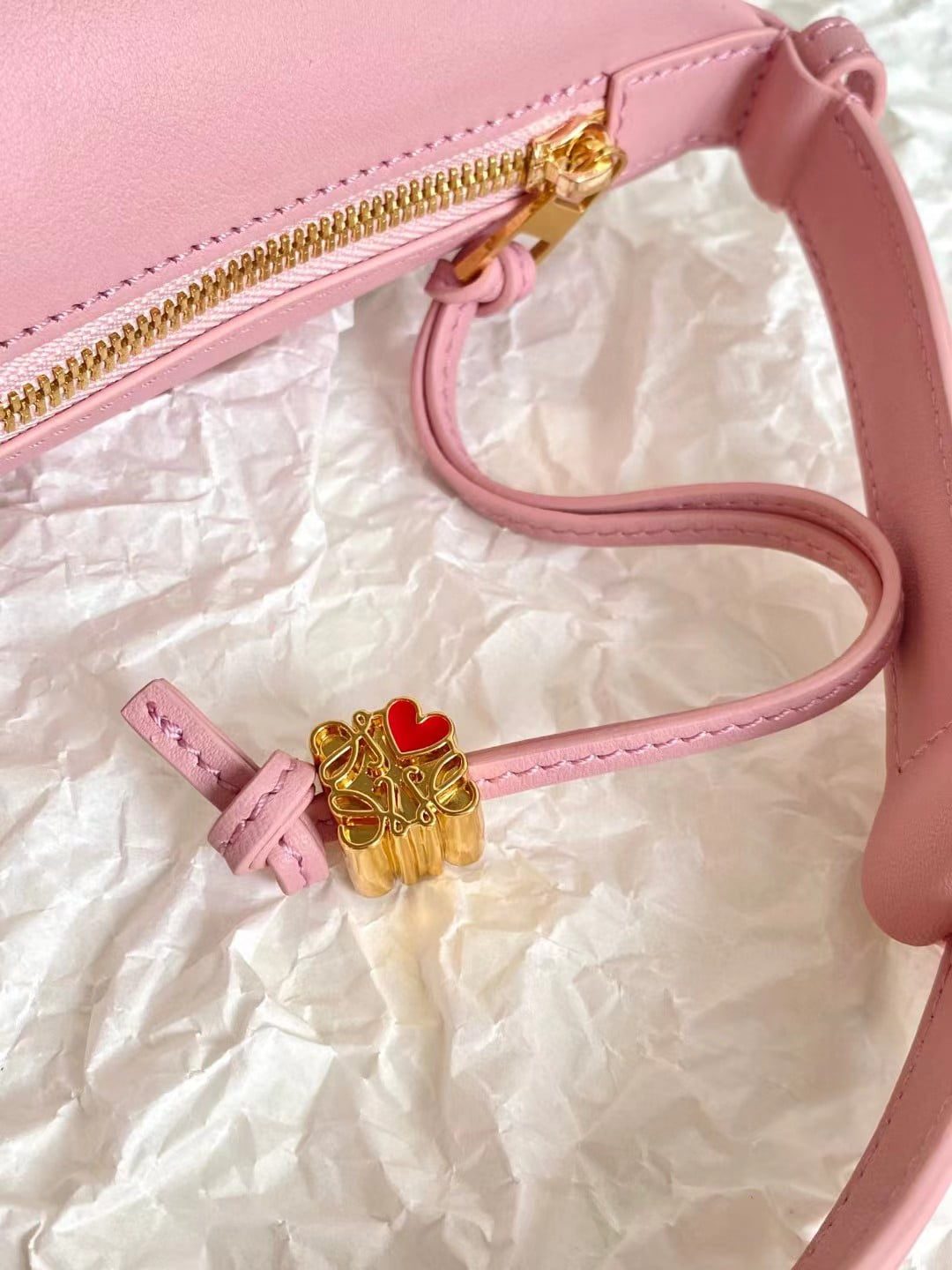 Loewe Cubi Hobo Bag view 13