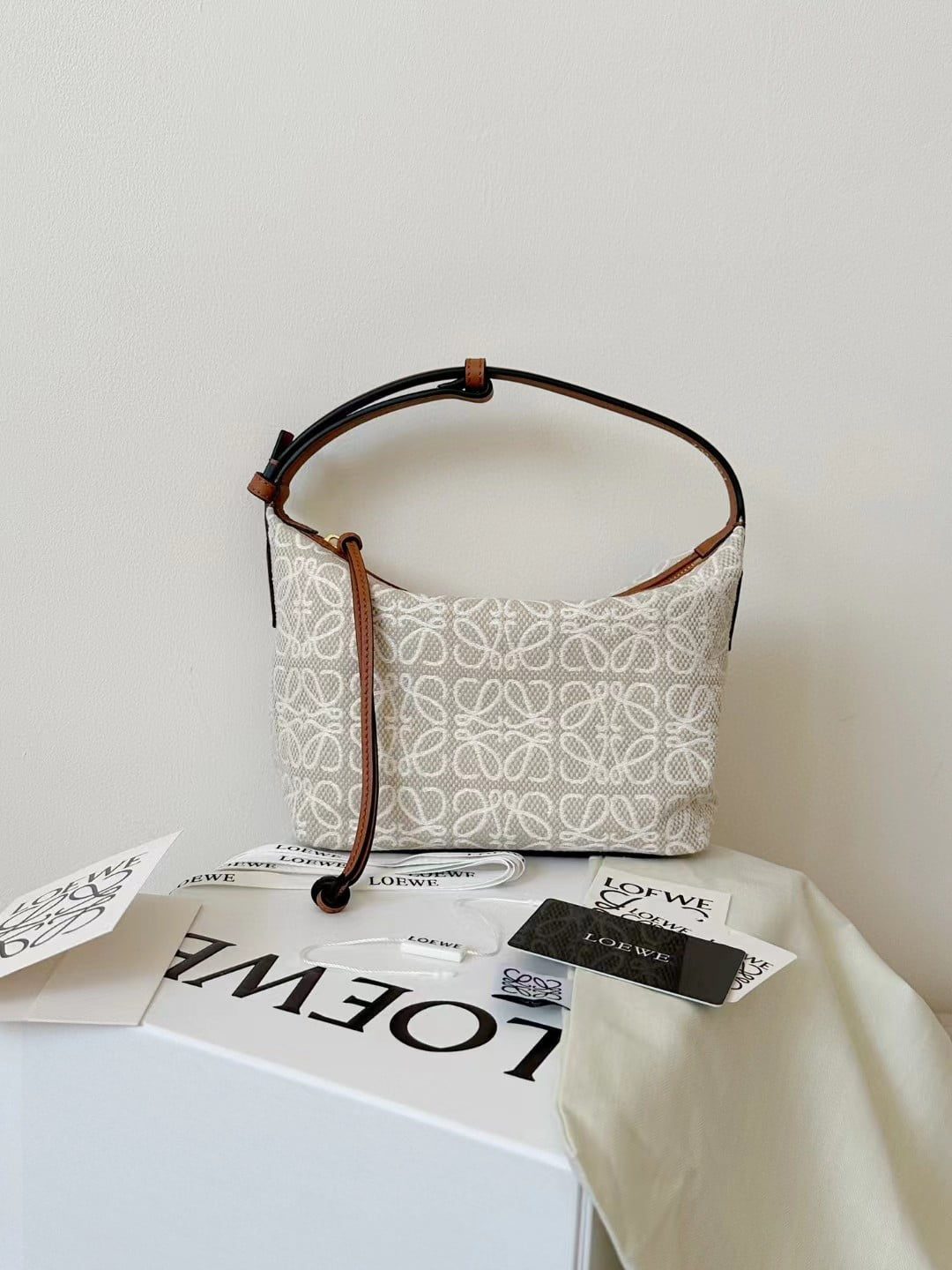 Loewe Small Cubi Bag view 1
