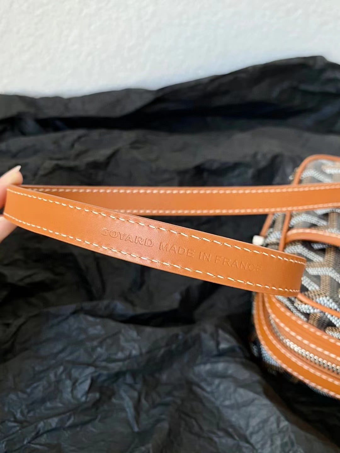 Goyard Camera Bag view 11