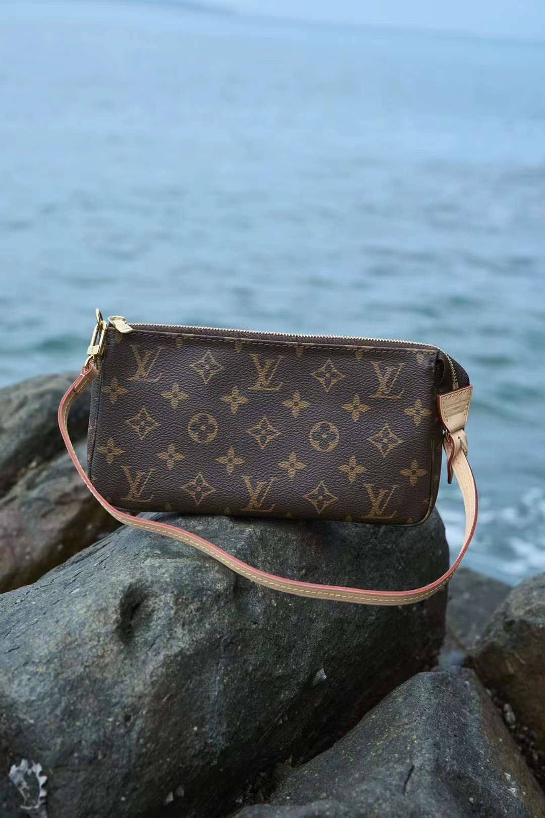 Louis Vuitton Pochette Accessoires Bag M40712 view 1