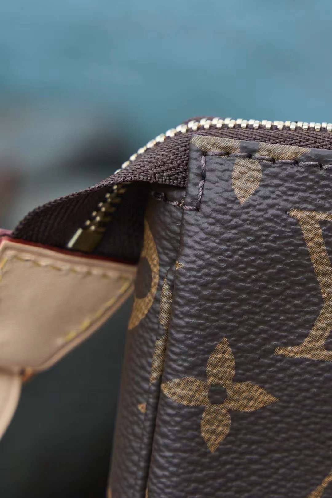 Louis Vuitton Pochette Accessoires Bag M40712 view 4