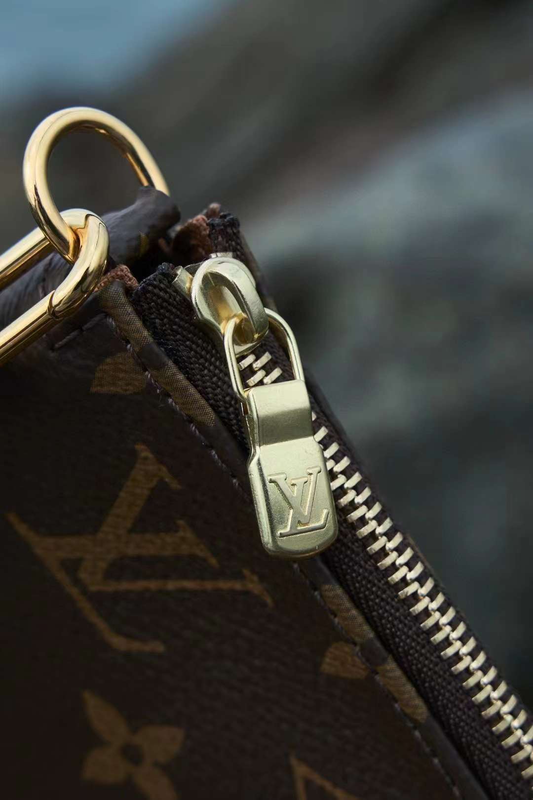 Louis Vuitton Pochette Accessoires Bag M40712 view 8
