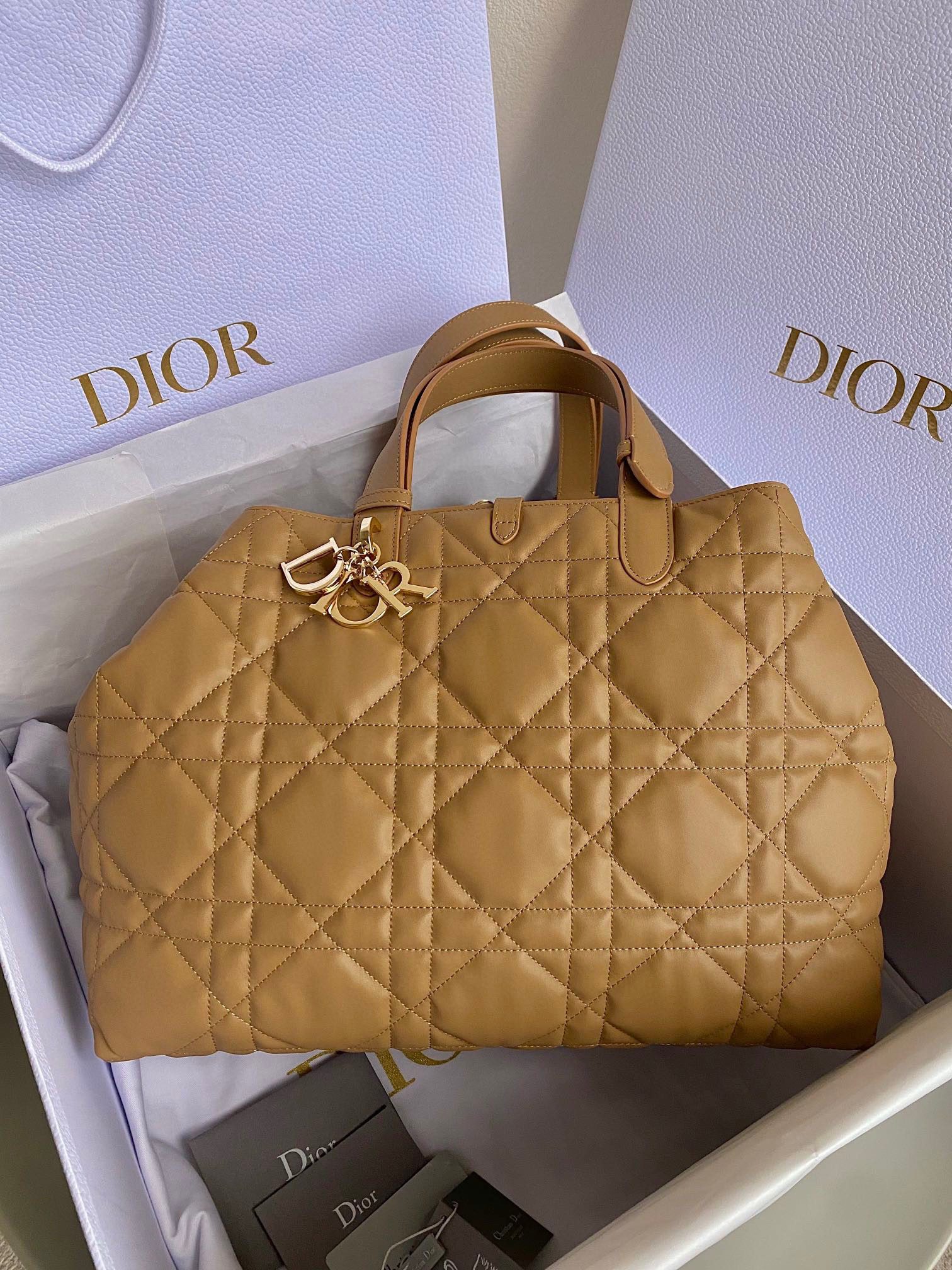Dior Toujours Bag view 1