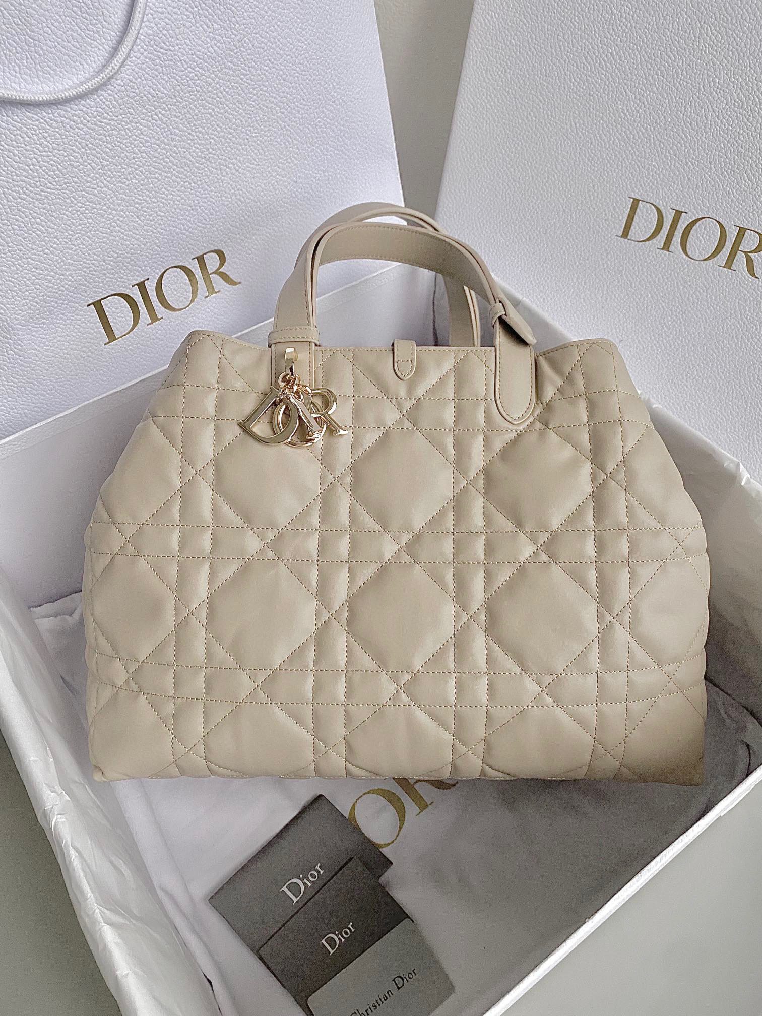 Dior Toujours Bag view 2