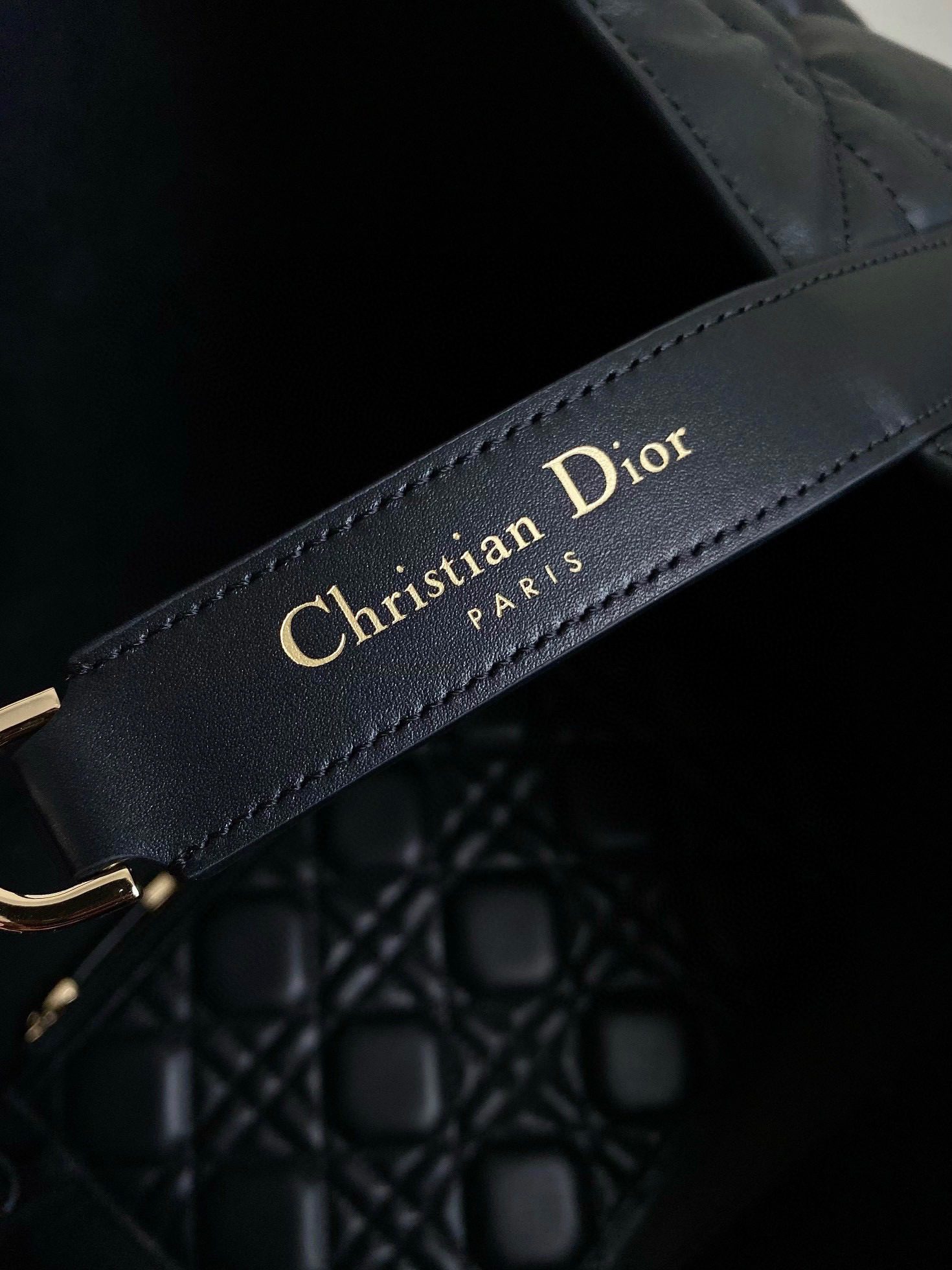 Dior Toujours Bag view 6