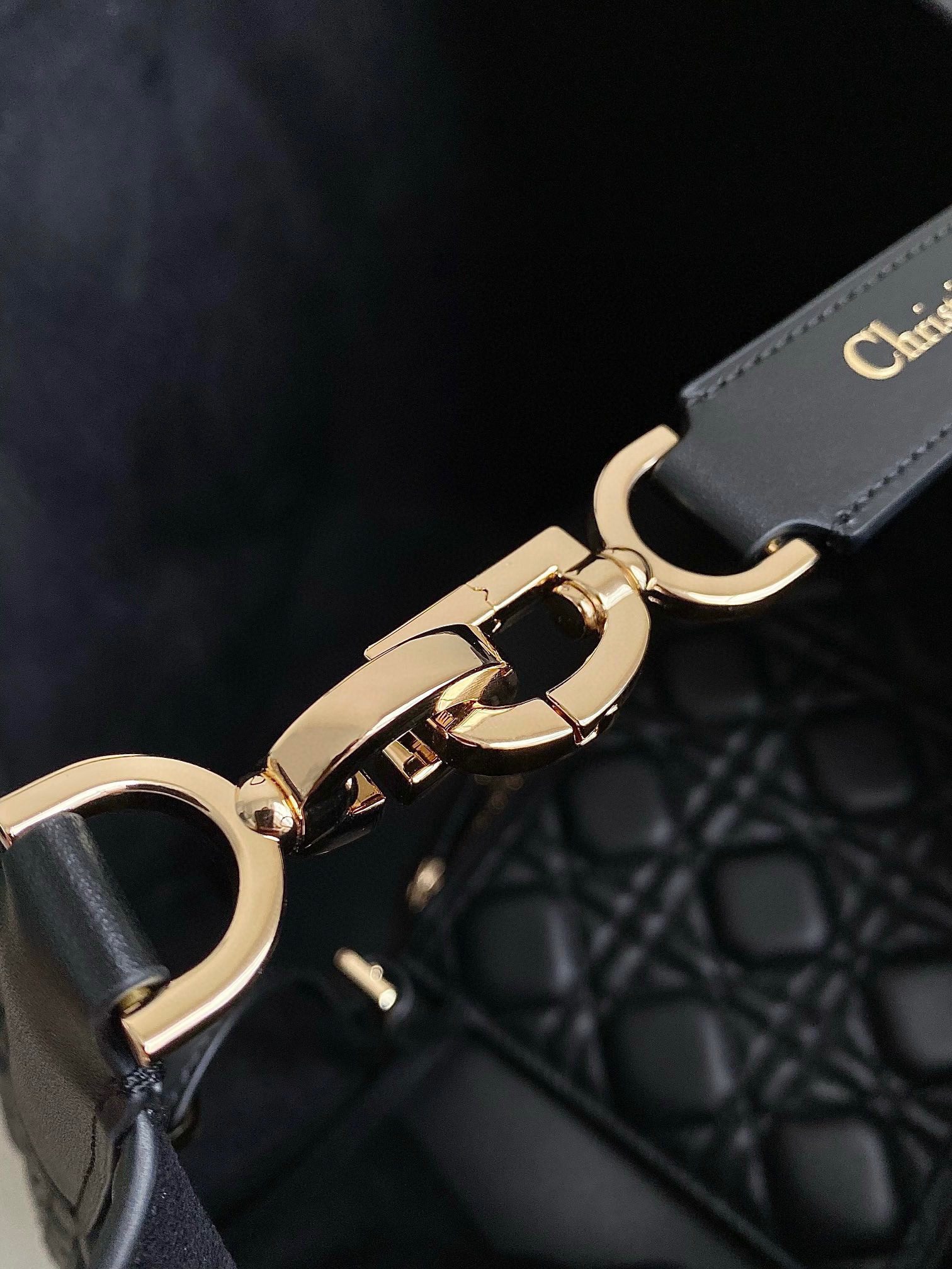 Dior Toujours Bag view 7