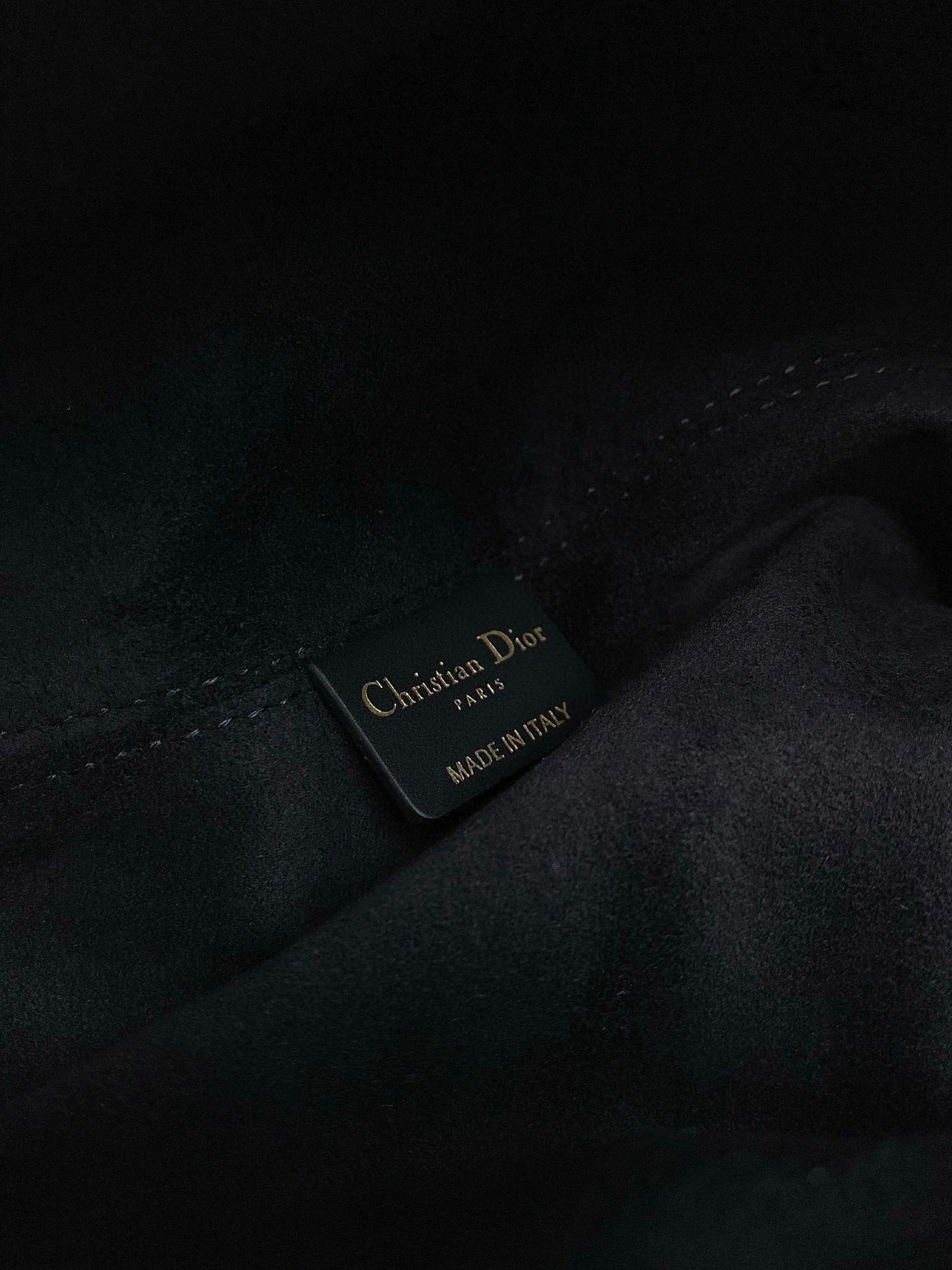 Dior Toujours Bag view 8