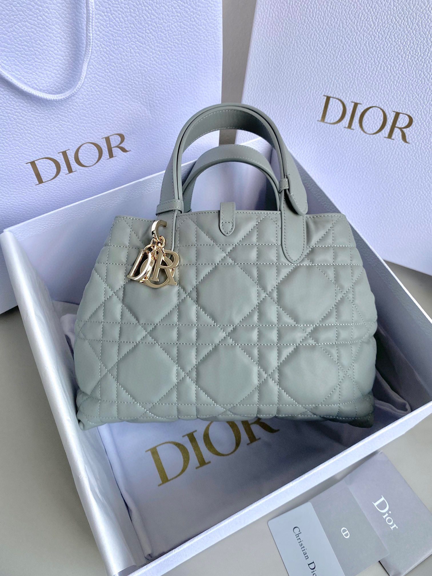 Dior Toujours Bag view 1
