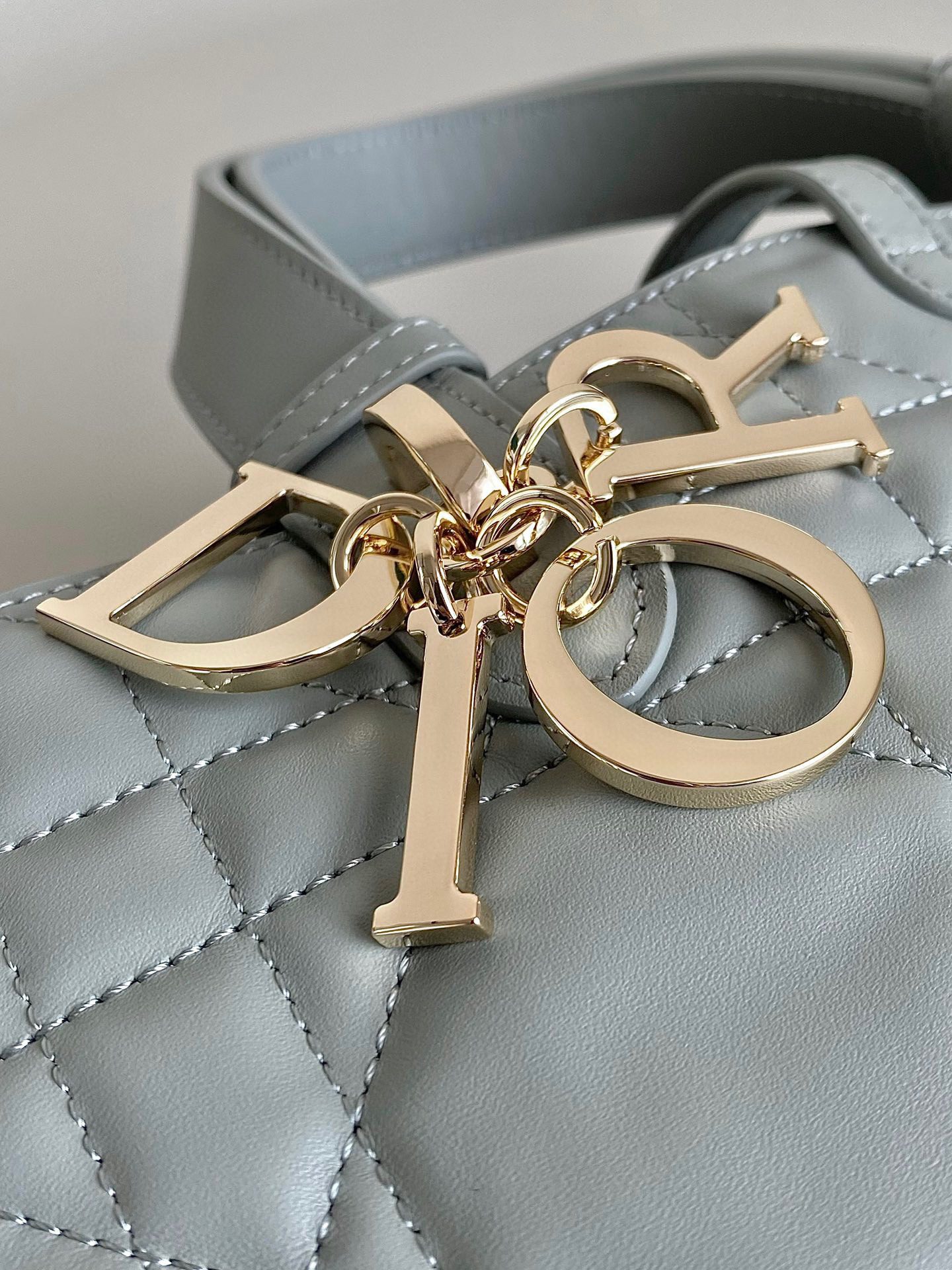 Dior Toujours Bag view 4