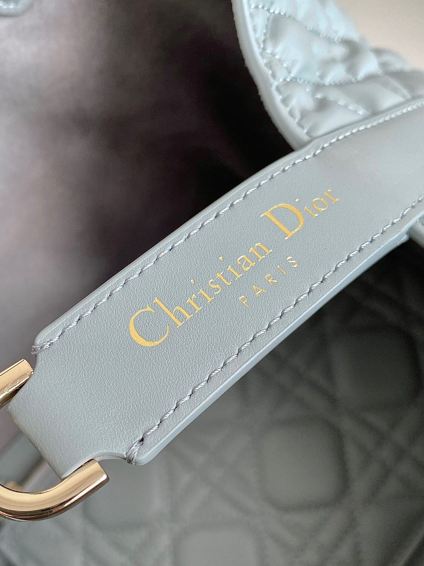 Dior Toujours Bag view 5