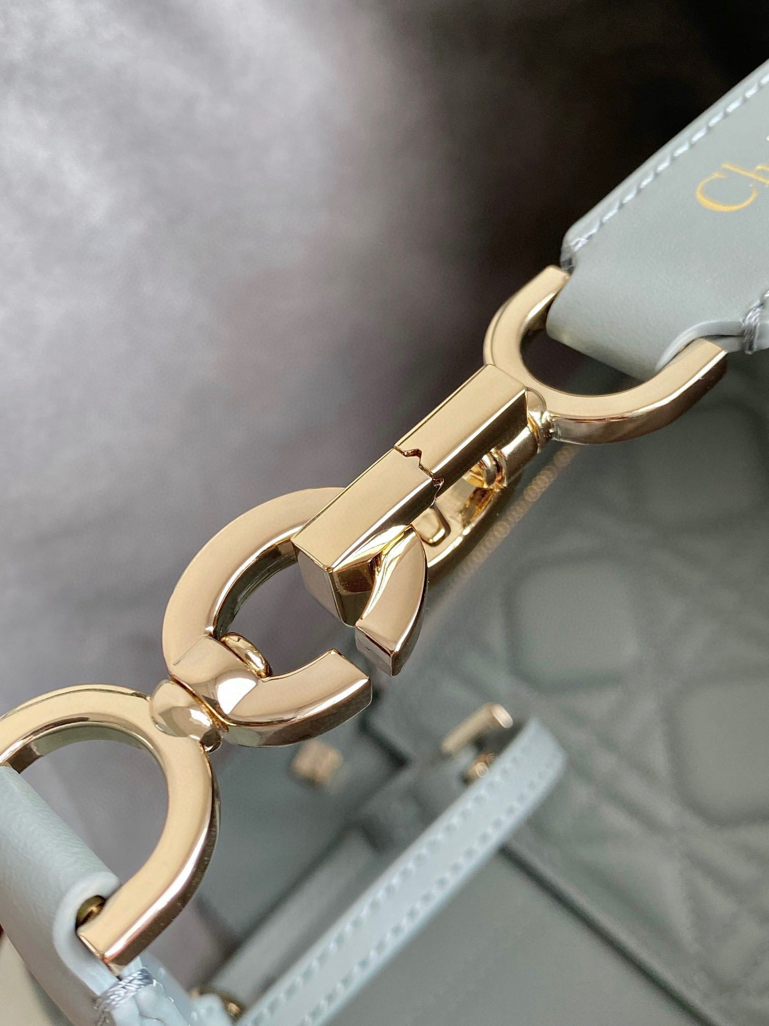 Dior Toujours Bag view 6