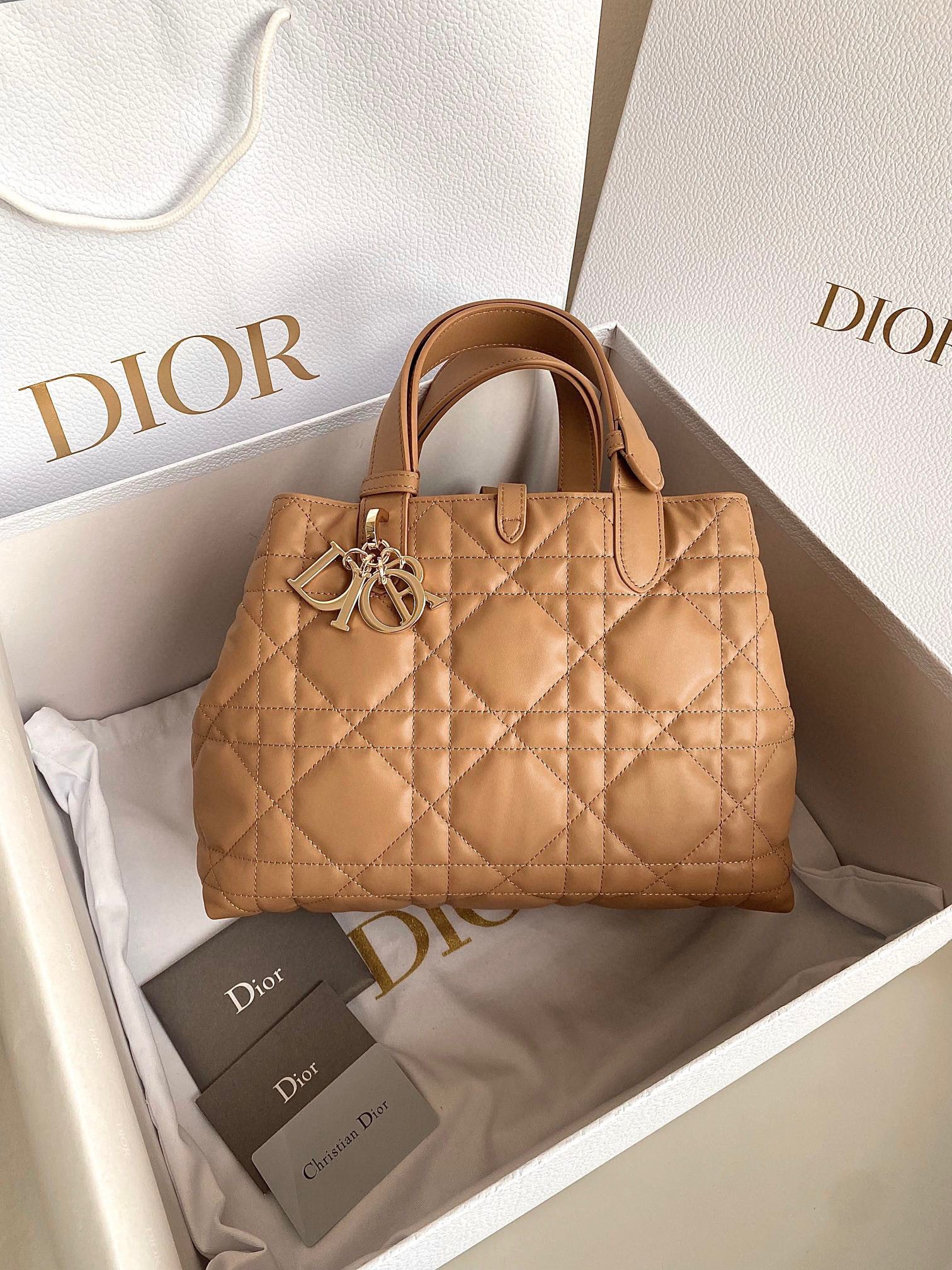 Dior Toujours Bag view 1