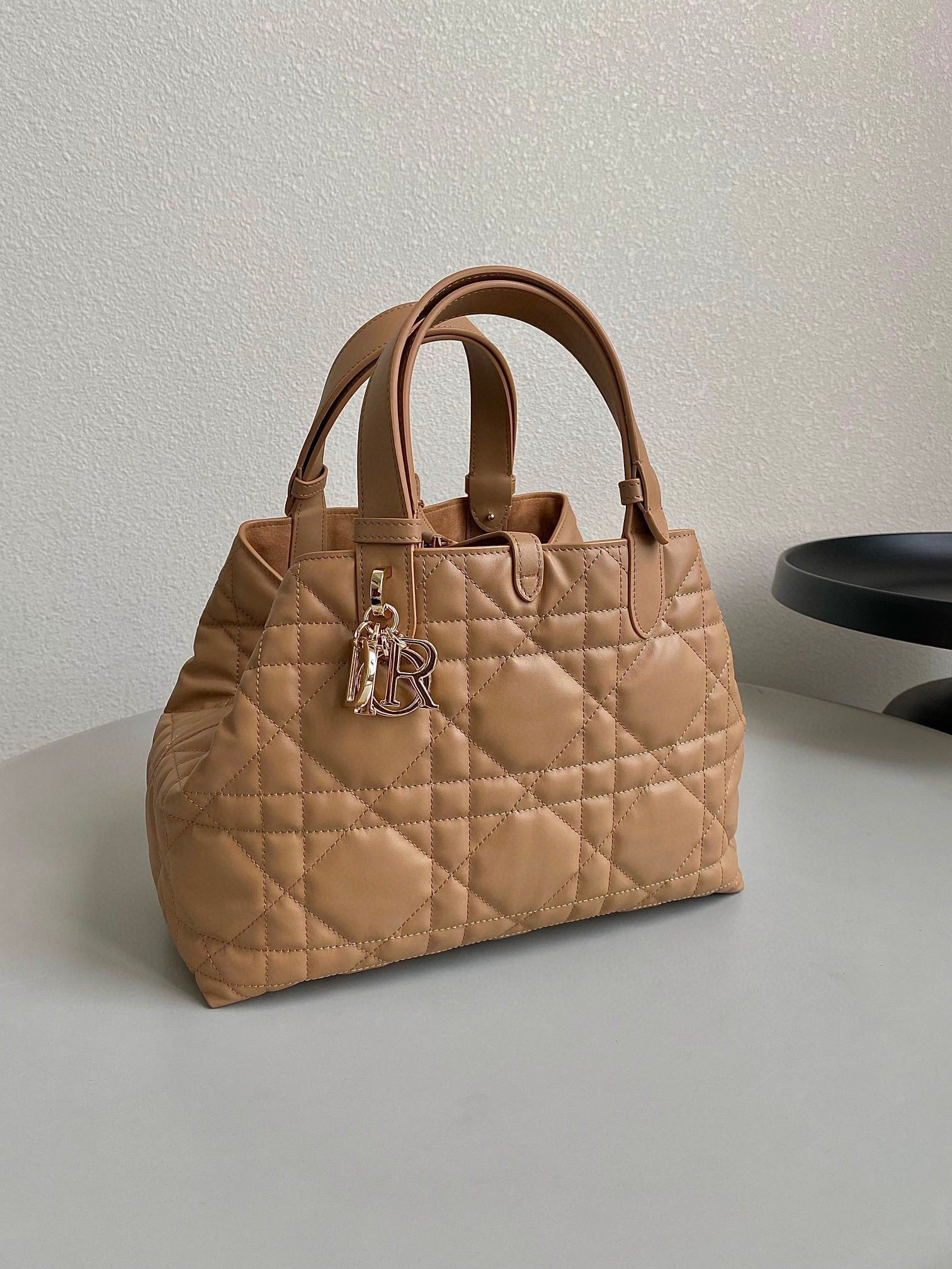 Dior Toujours Bag view 2