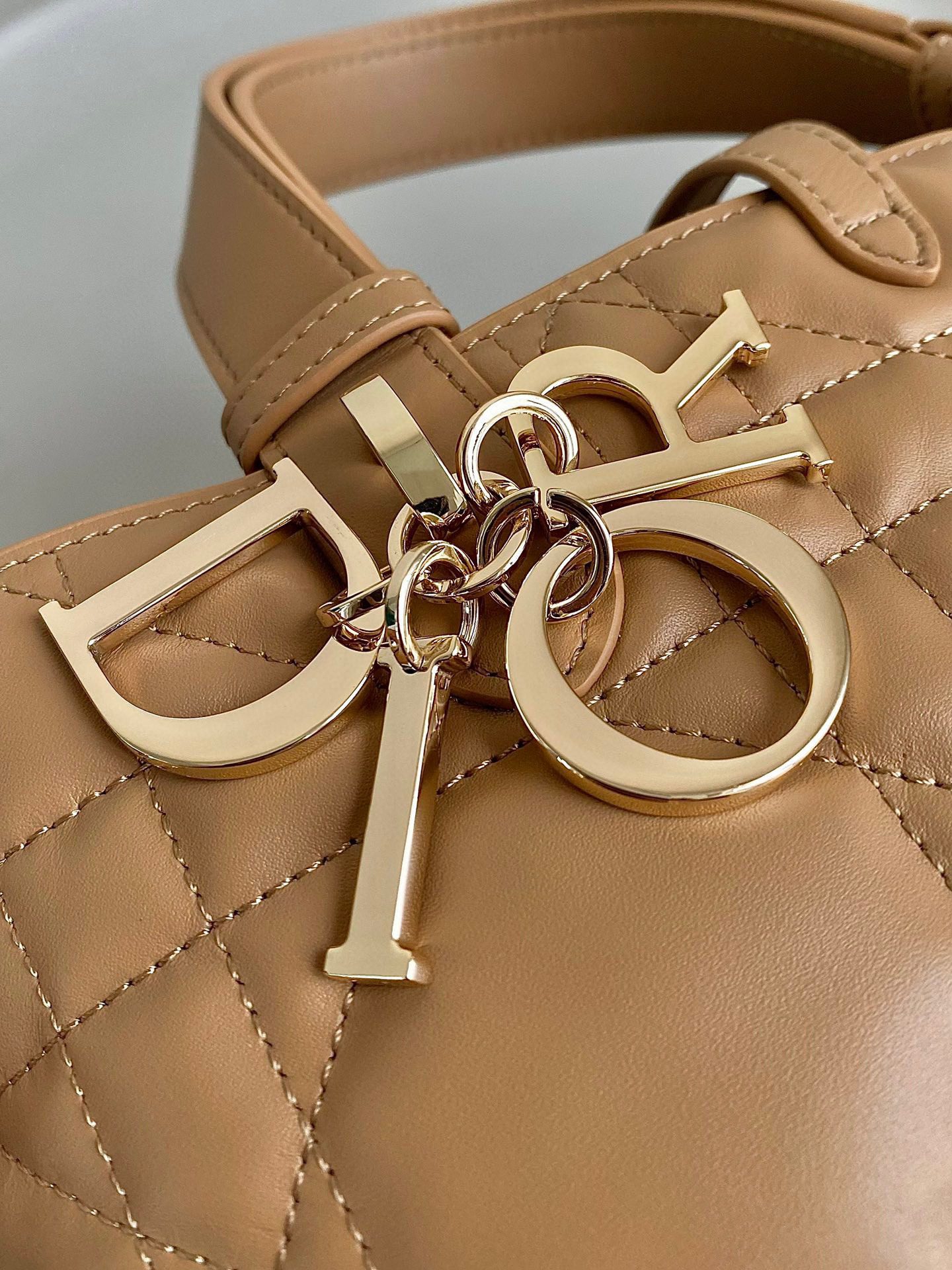 Dior Toujours Bag view 4