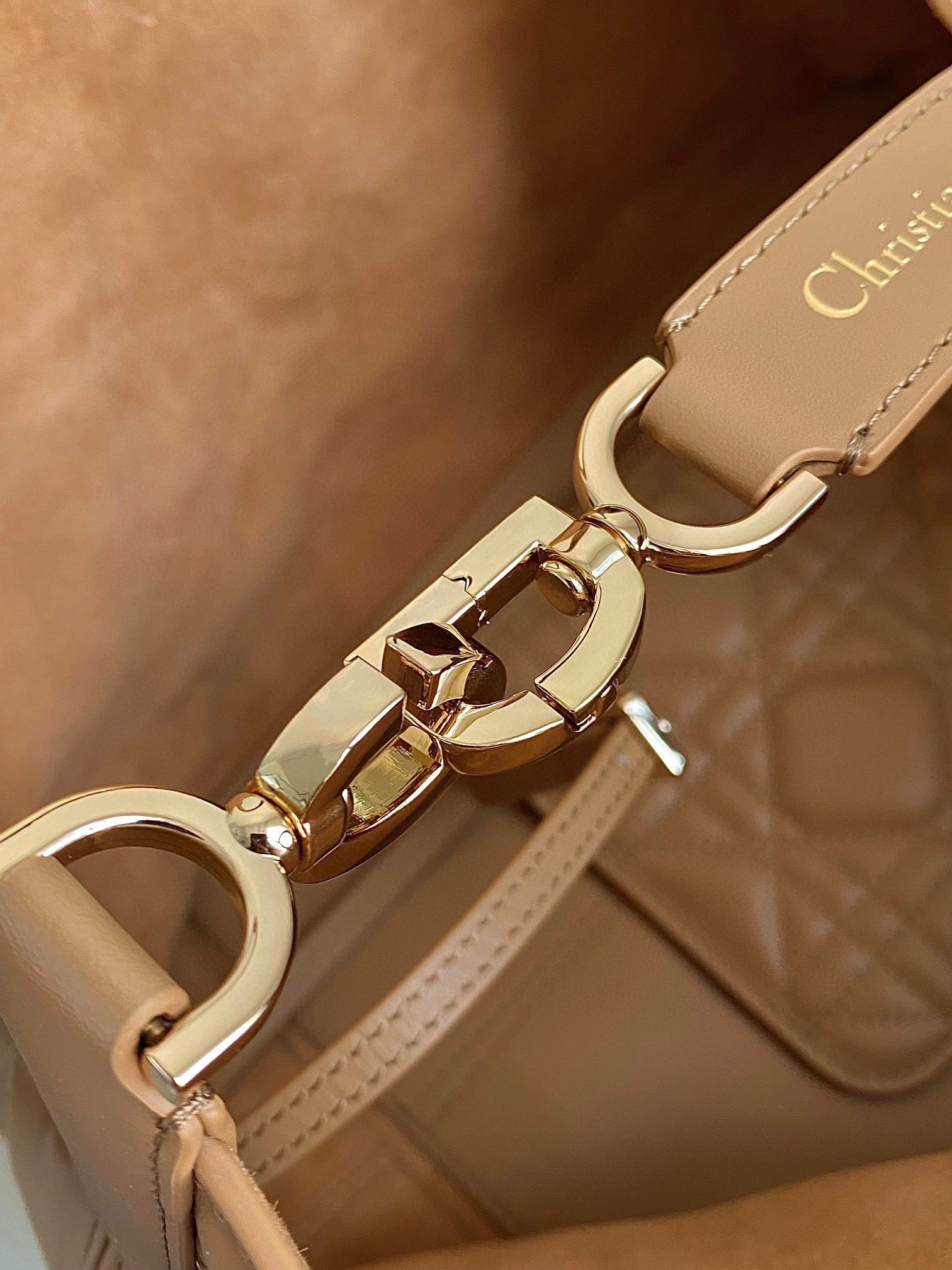 Dior Toujours Bag view 6