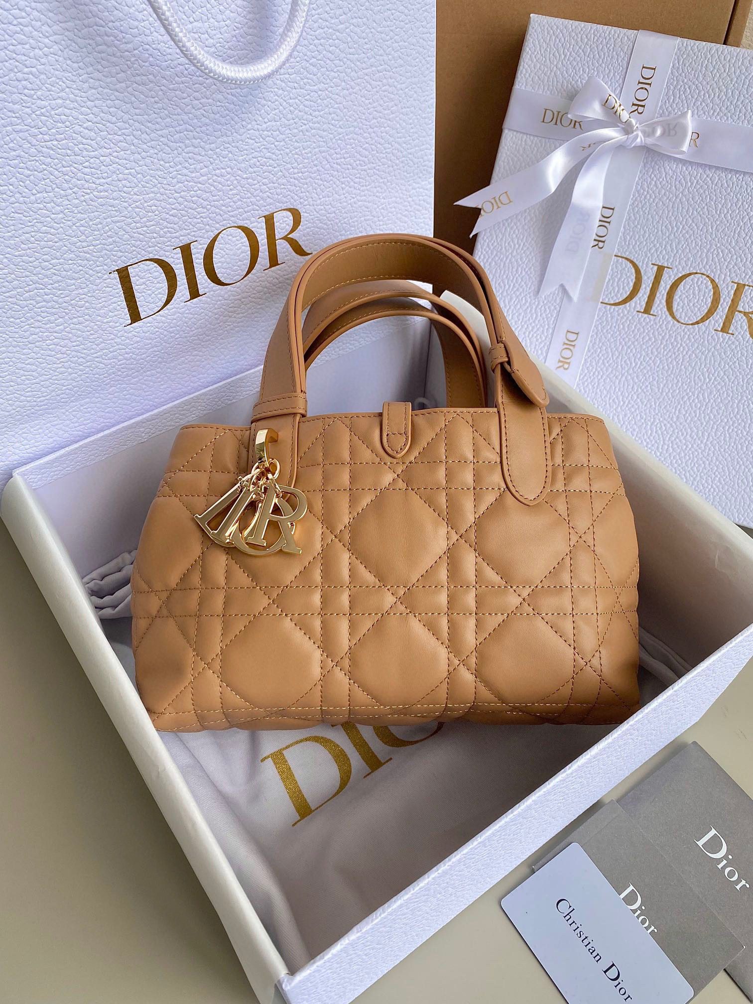 Dior Toujours Bag view 10
