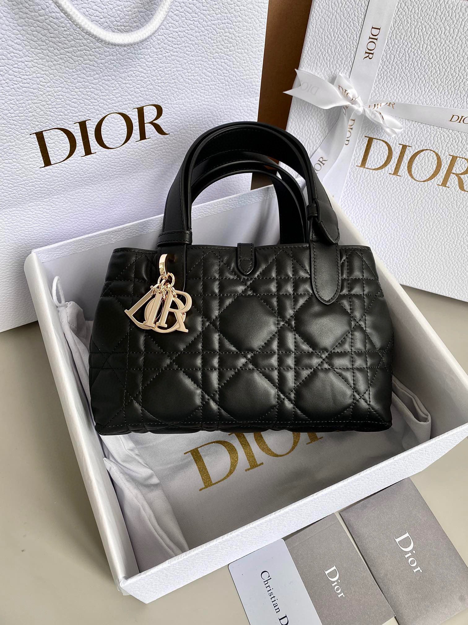 Dior Toujours Bag view 2