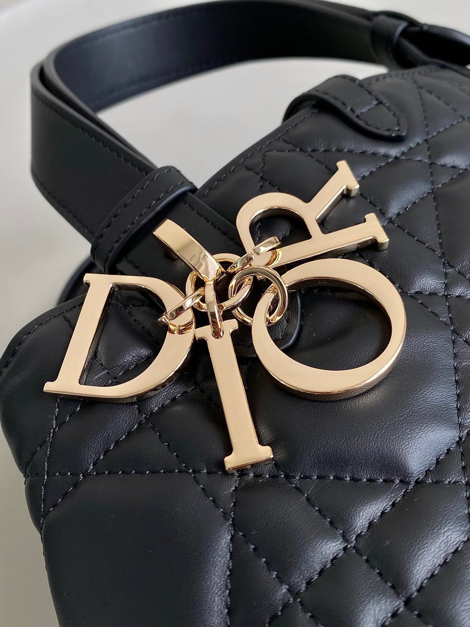Dior Toujours Bag view 5