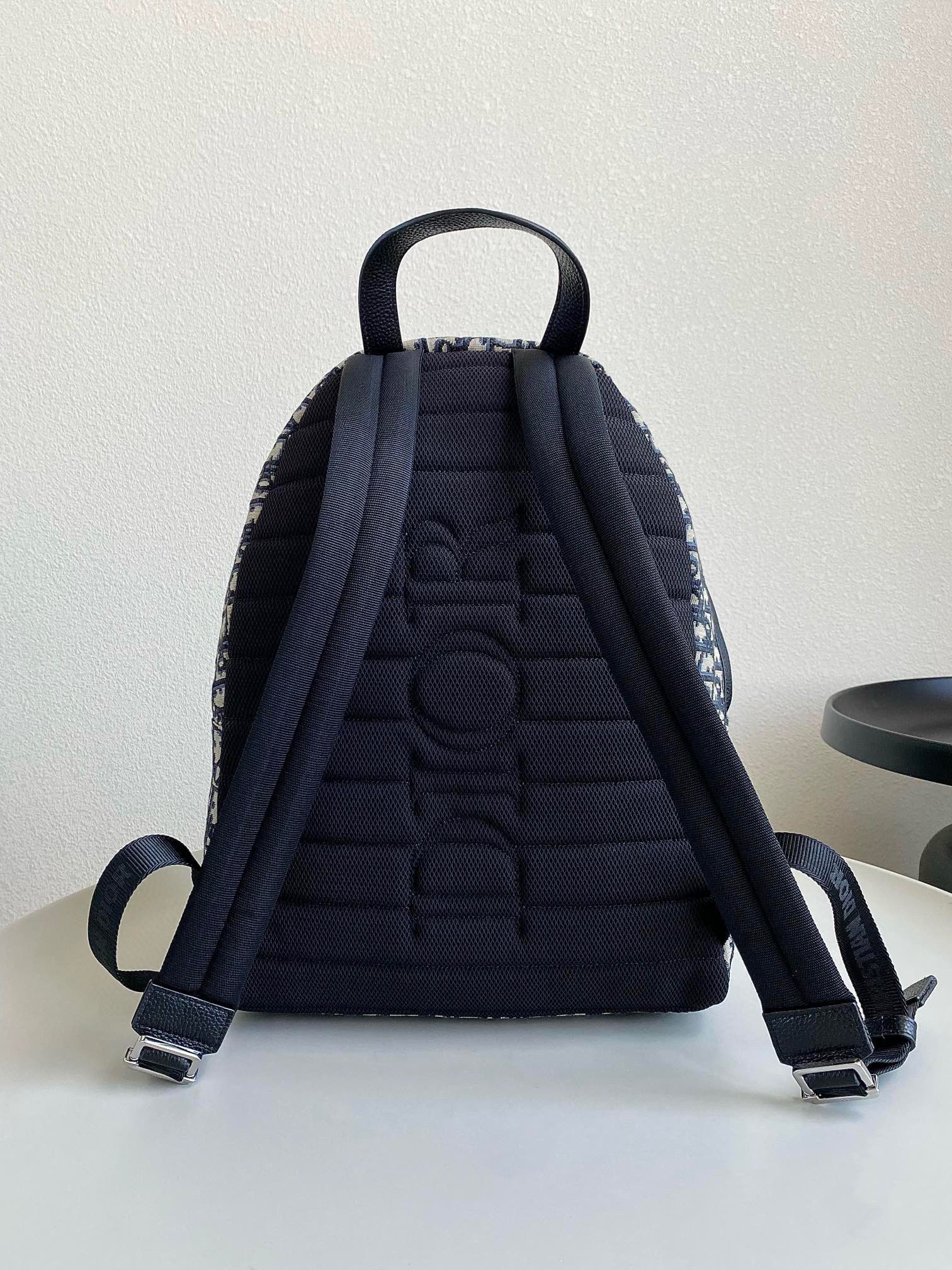 Dior Oblique Backpack view 2