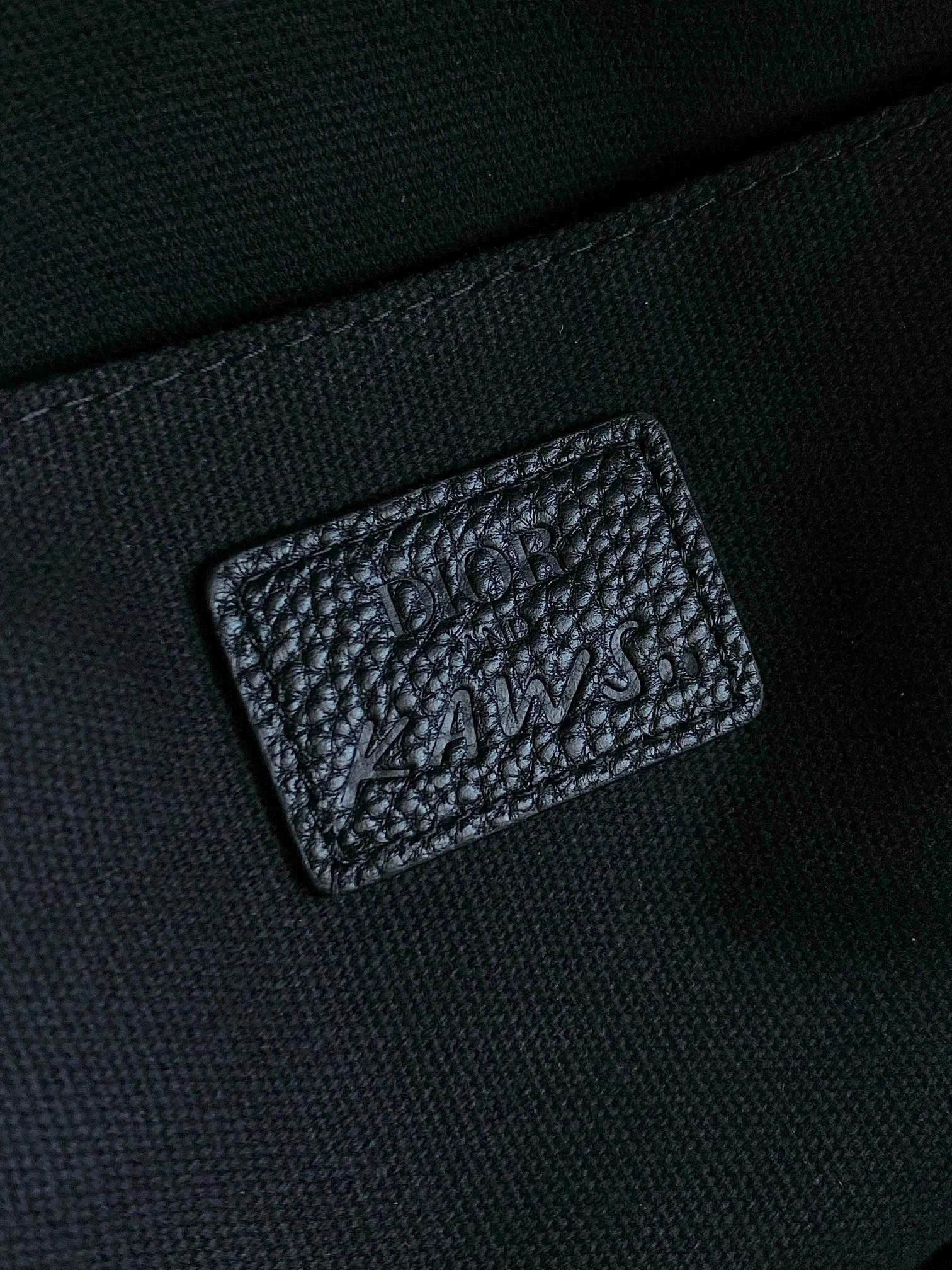 Dior Oblique Backpack view 5