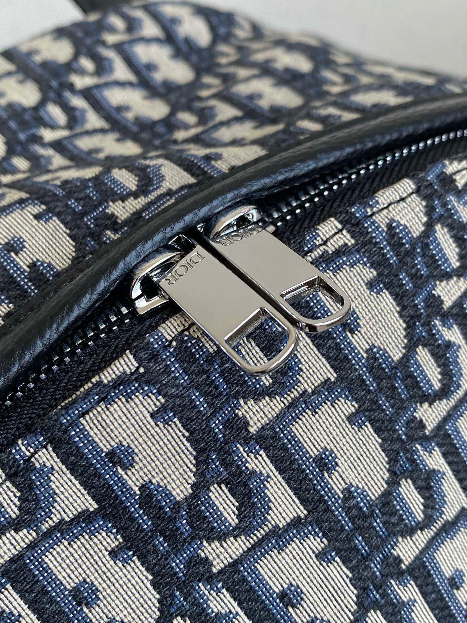 Dior Oblique Backpack view 8