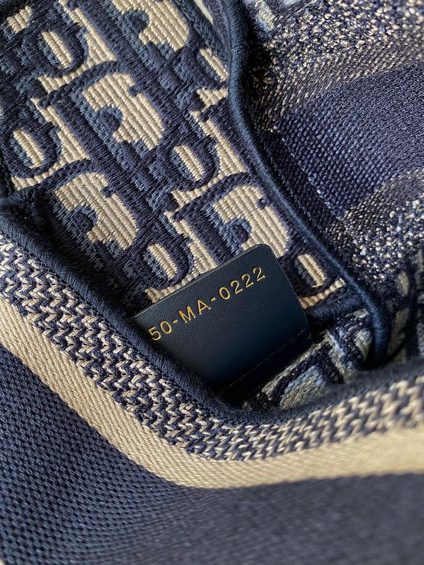 Dior camp Bag view 6