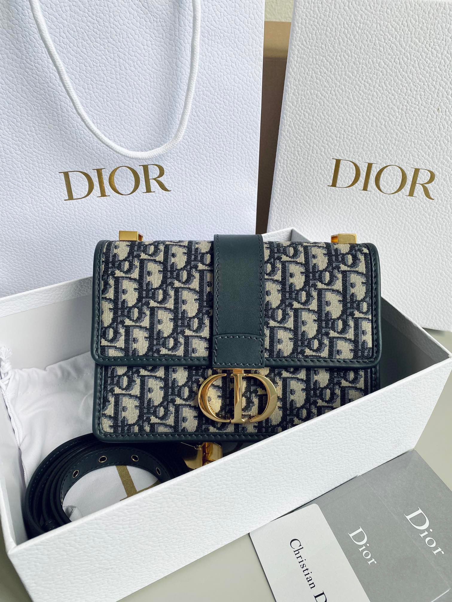 Dior Montaigne Bag view 2