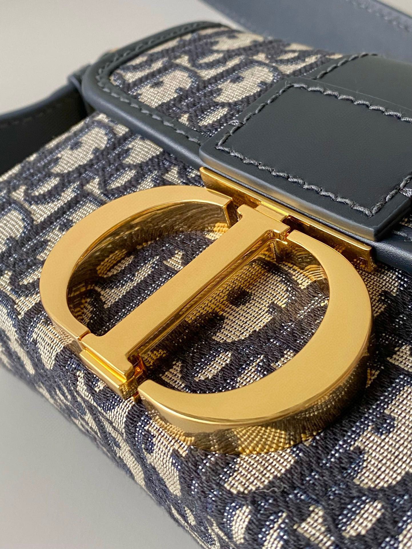 Dior Montaigne Bag view 7
