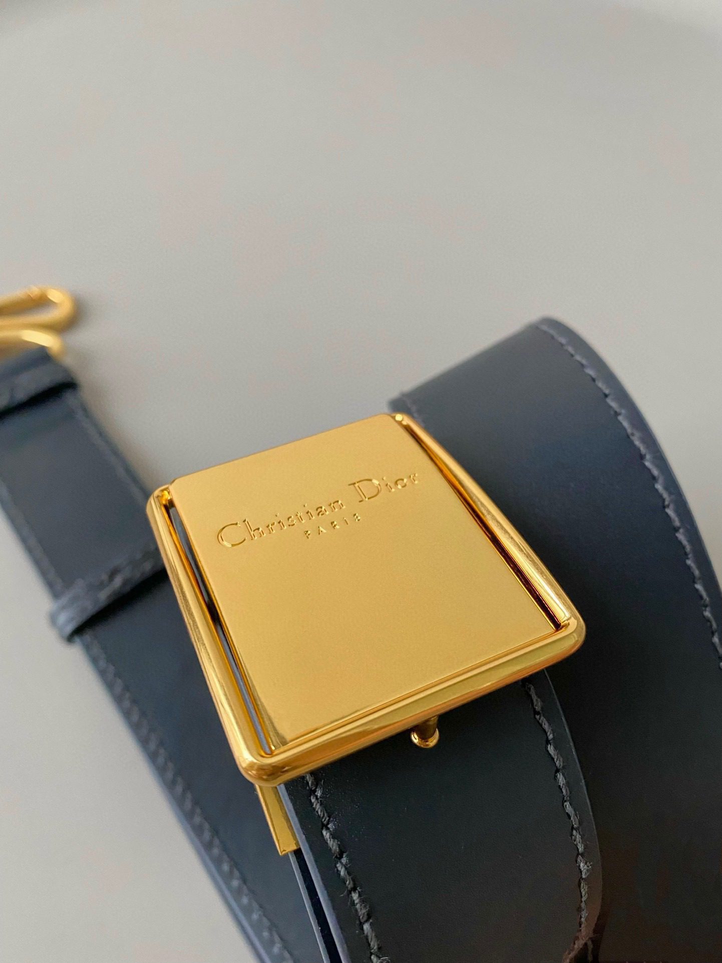 Dior Montaigne Bag view 9