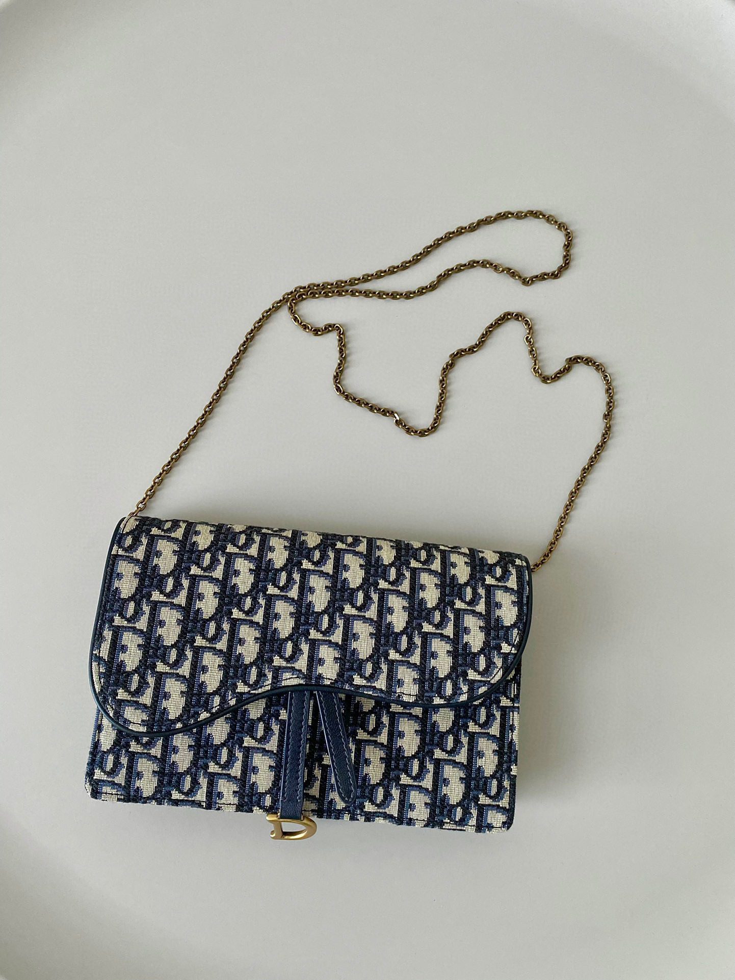 Dior Oblique Woc Bag view 2