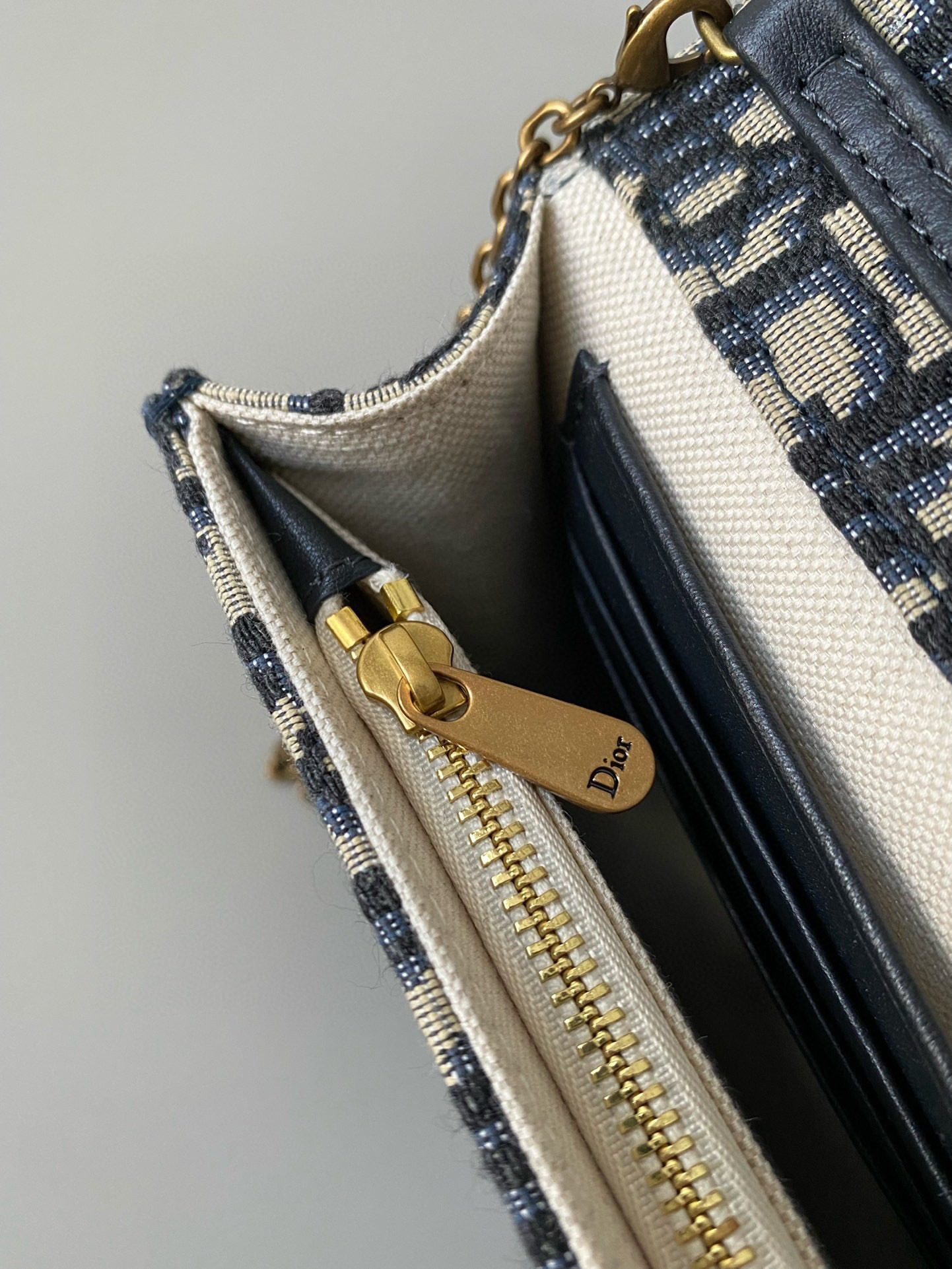 Dior Oblique Woc Bag view 6