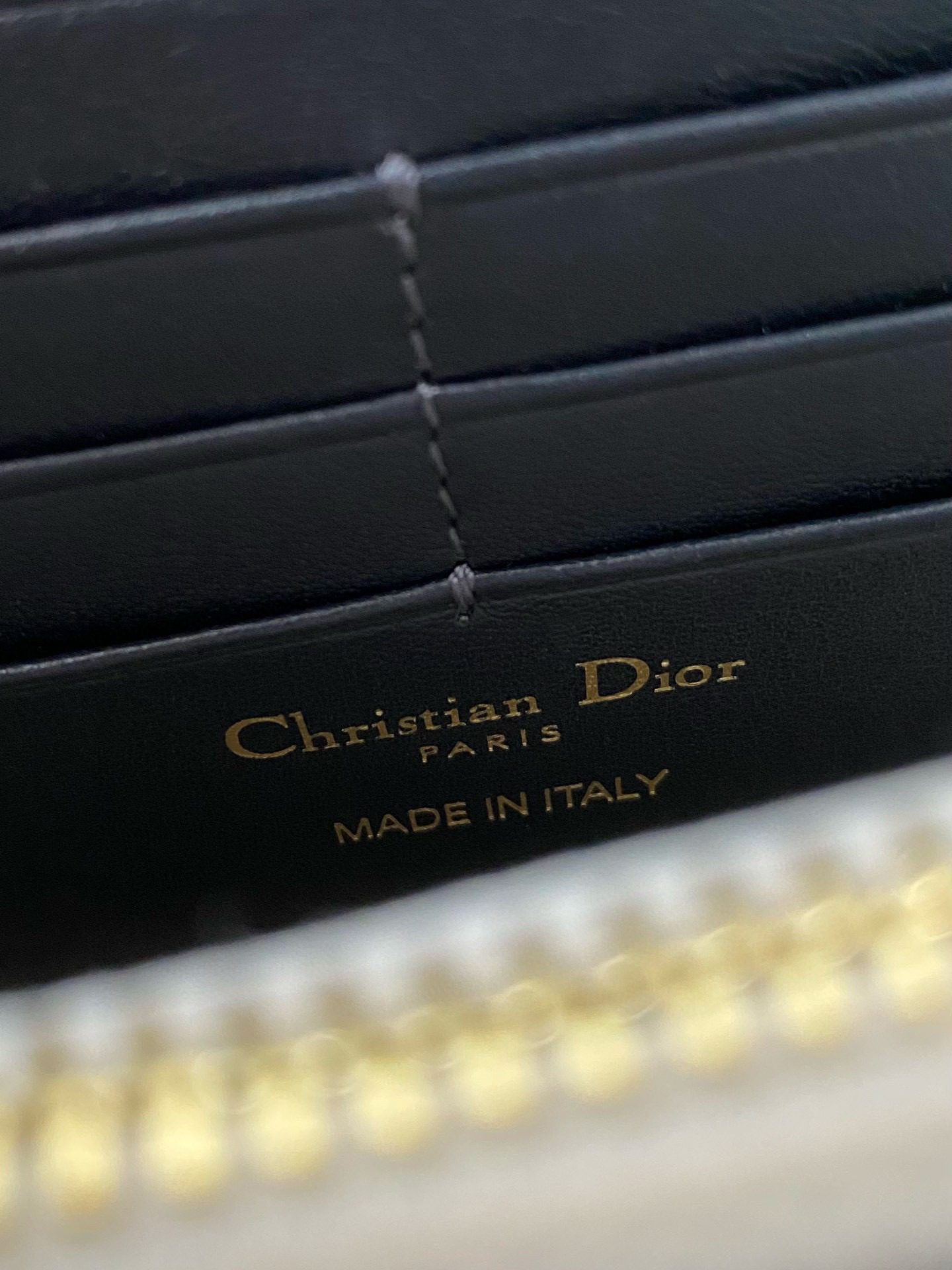 Dior Oblique Woc Bag view 8
