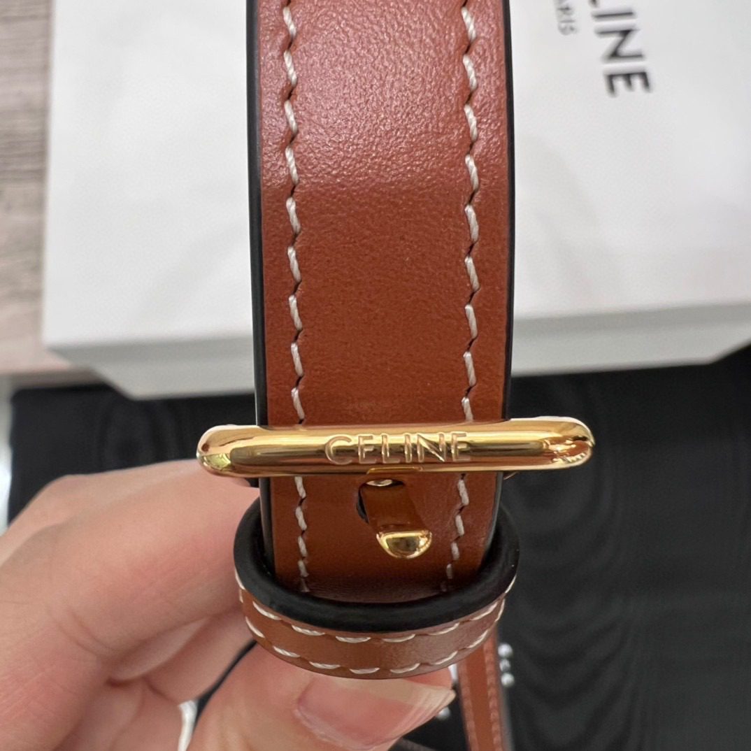 Celine Besace Clea Triomphe Bag view 7