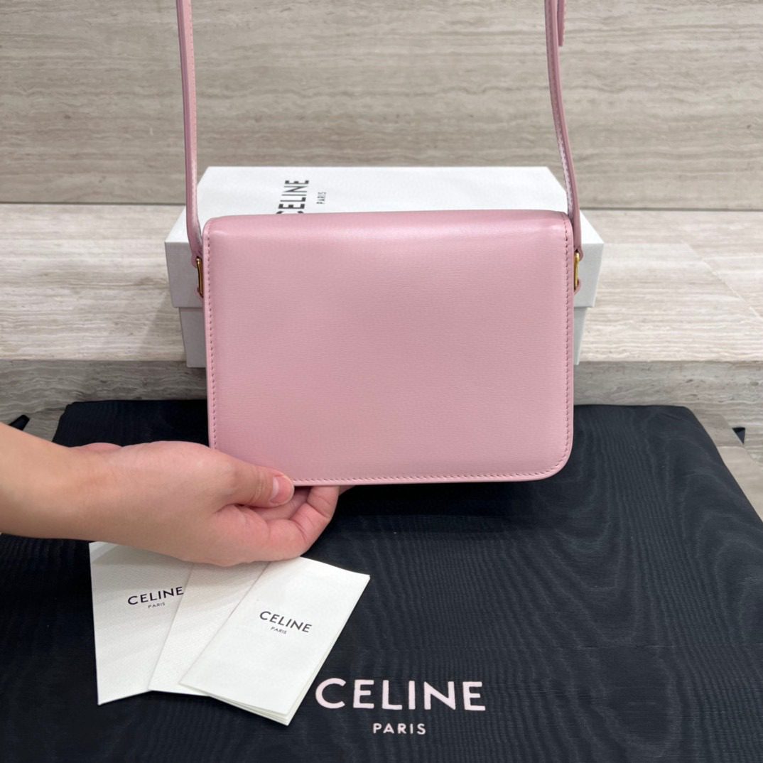 Celine Triomphe Bag view 2
