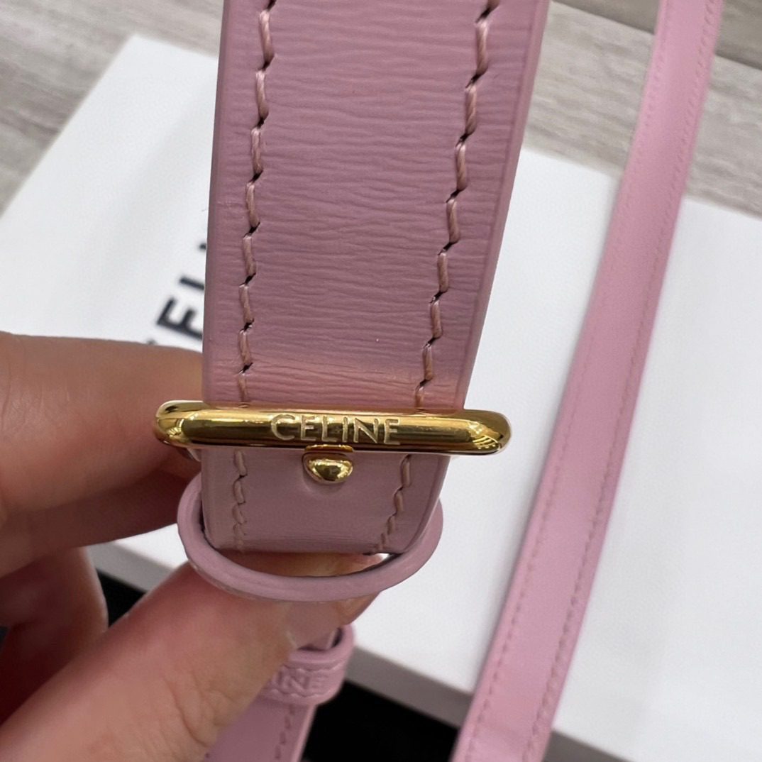 Celine Triomphe Bag view 6